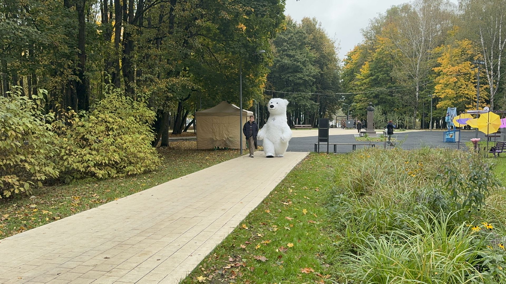 Солнечногорск, Праздник, Осень, Парк, жители,