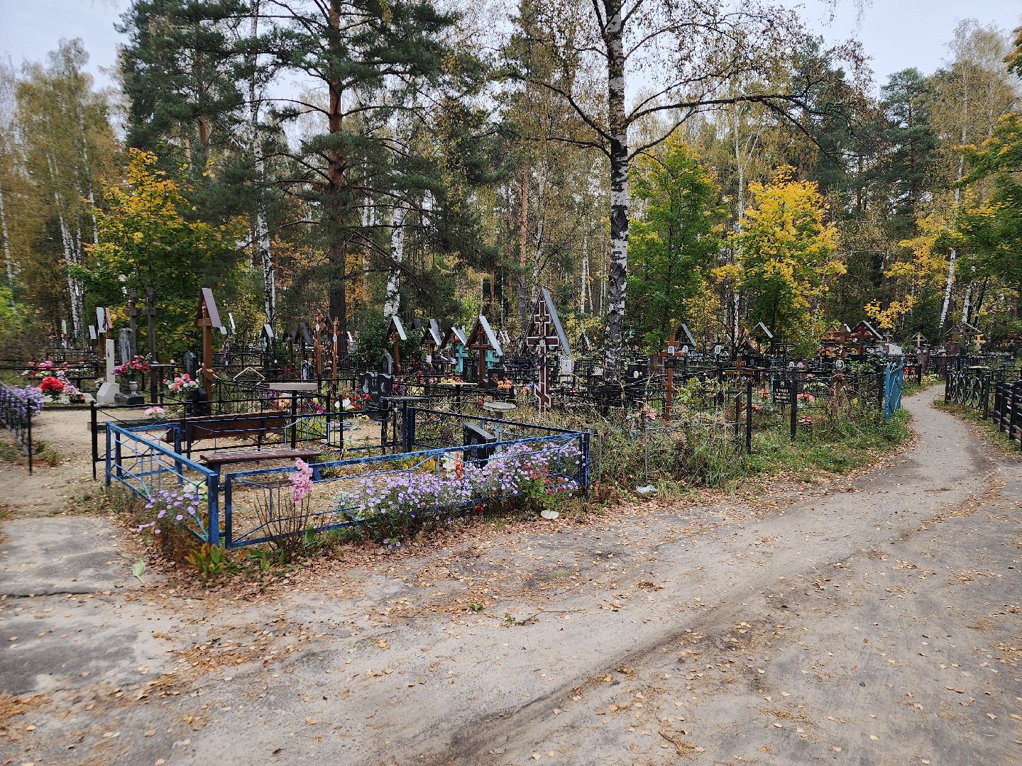 выездная администрация, куровское, орехово-зуевский округ,