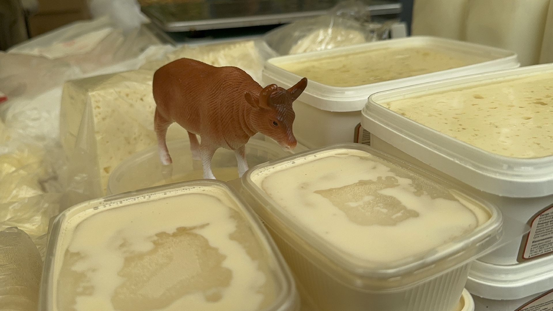 Солнечногорск, Парк, Праздник, Жители, Фермерский дворик,