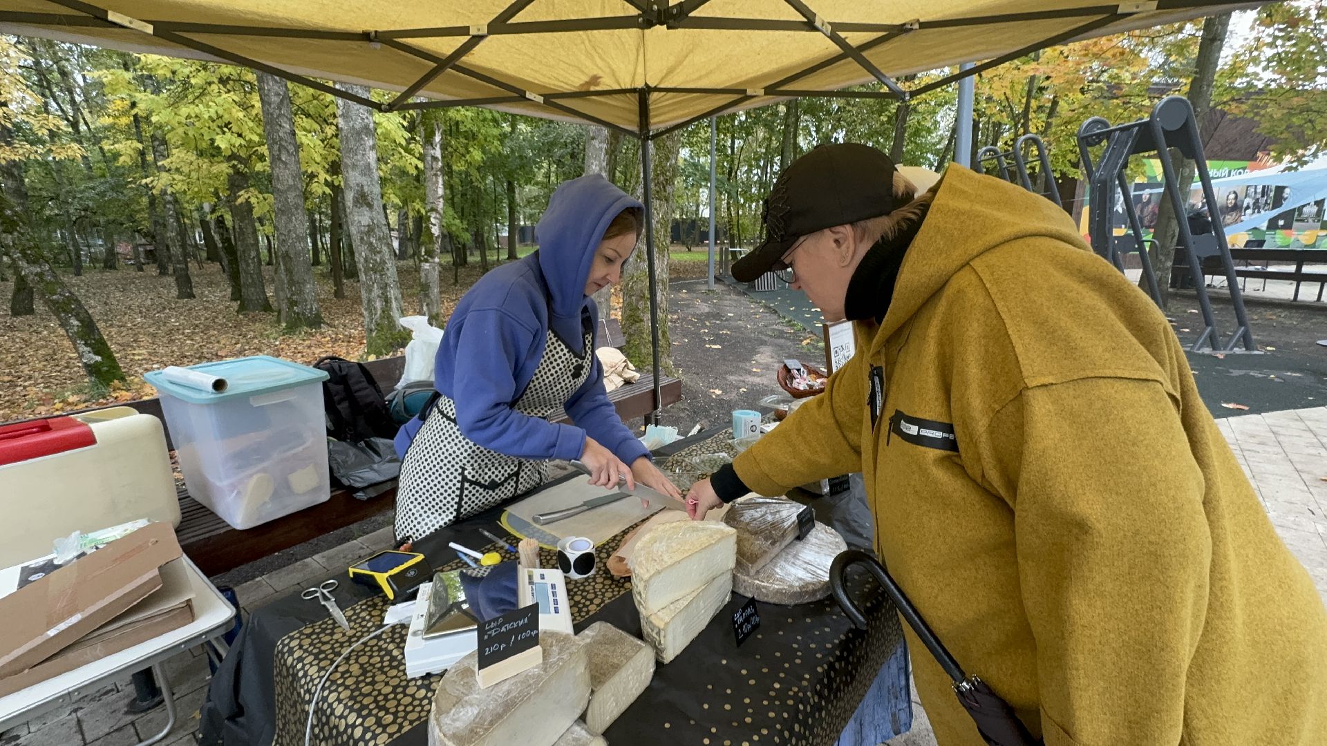 Солнечногорск, Парк, Праздник, Жители, Фермерский дворик,