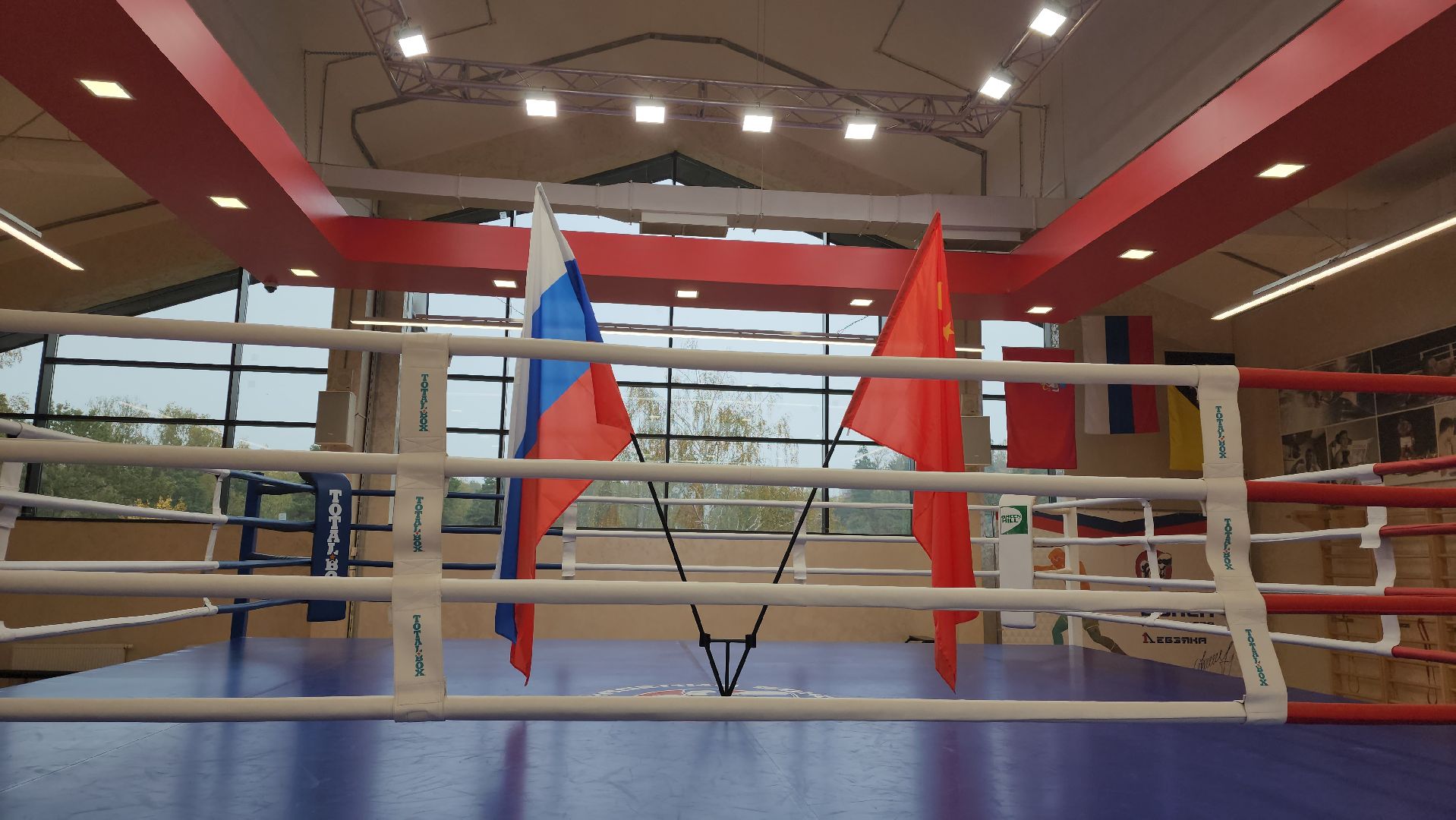 химки, спорт, бокс,