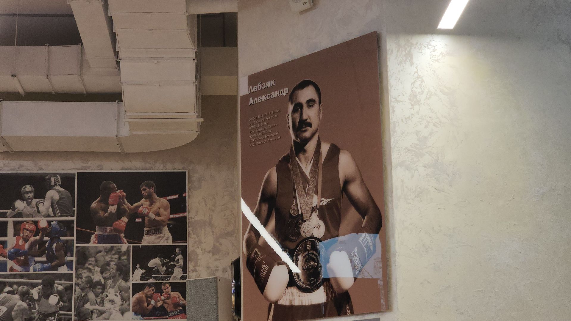 химки, спорт, бокс,