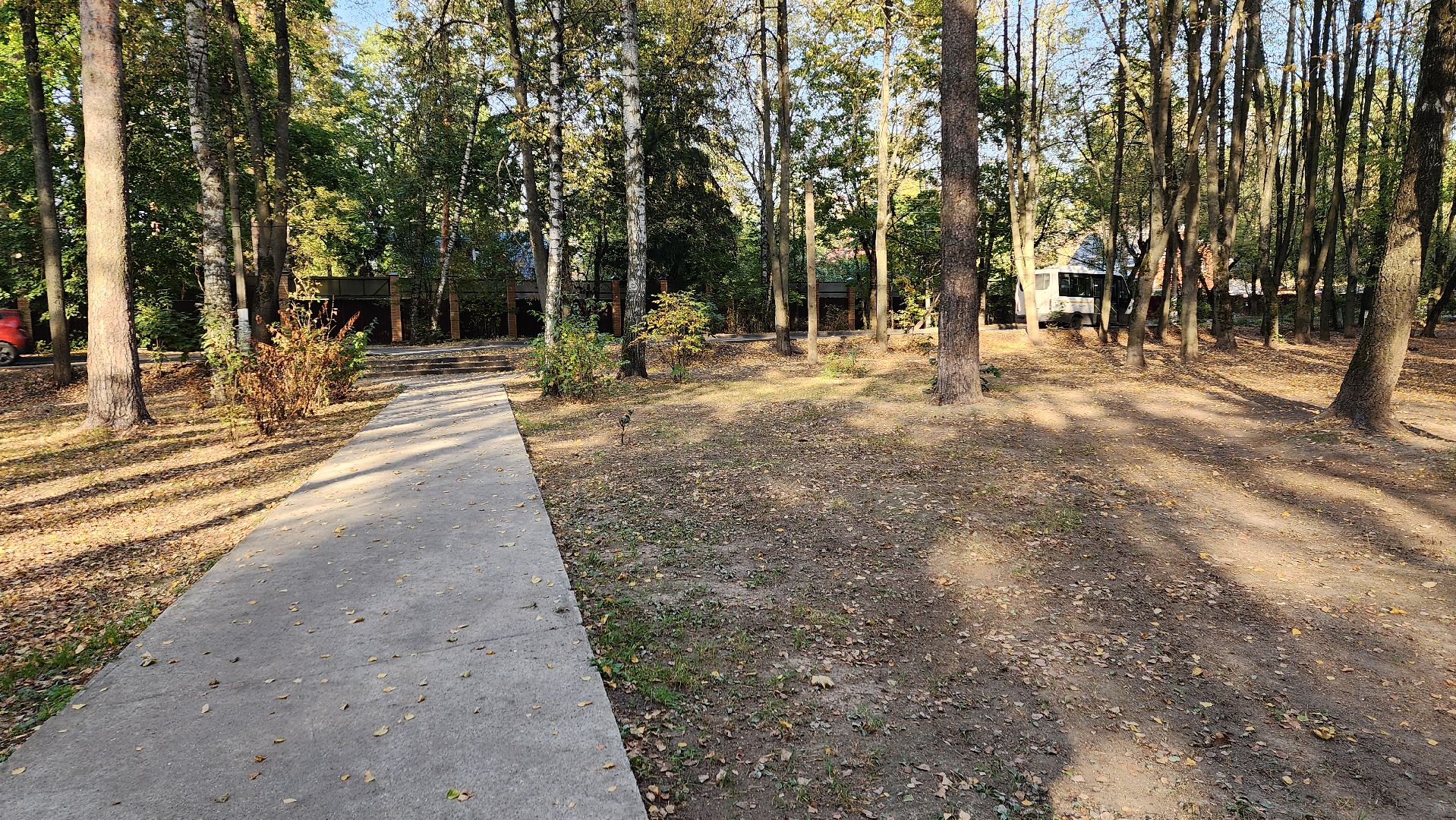 пушкино, литература, писатели, уборка дворов осенью, благоустройство, жкх,