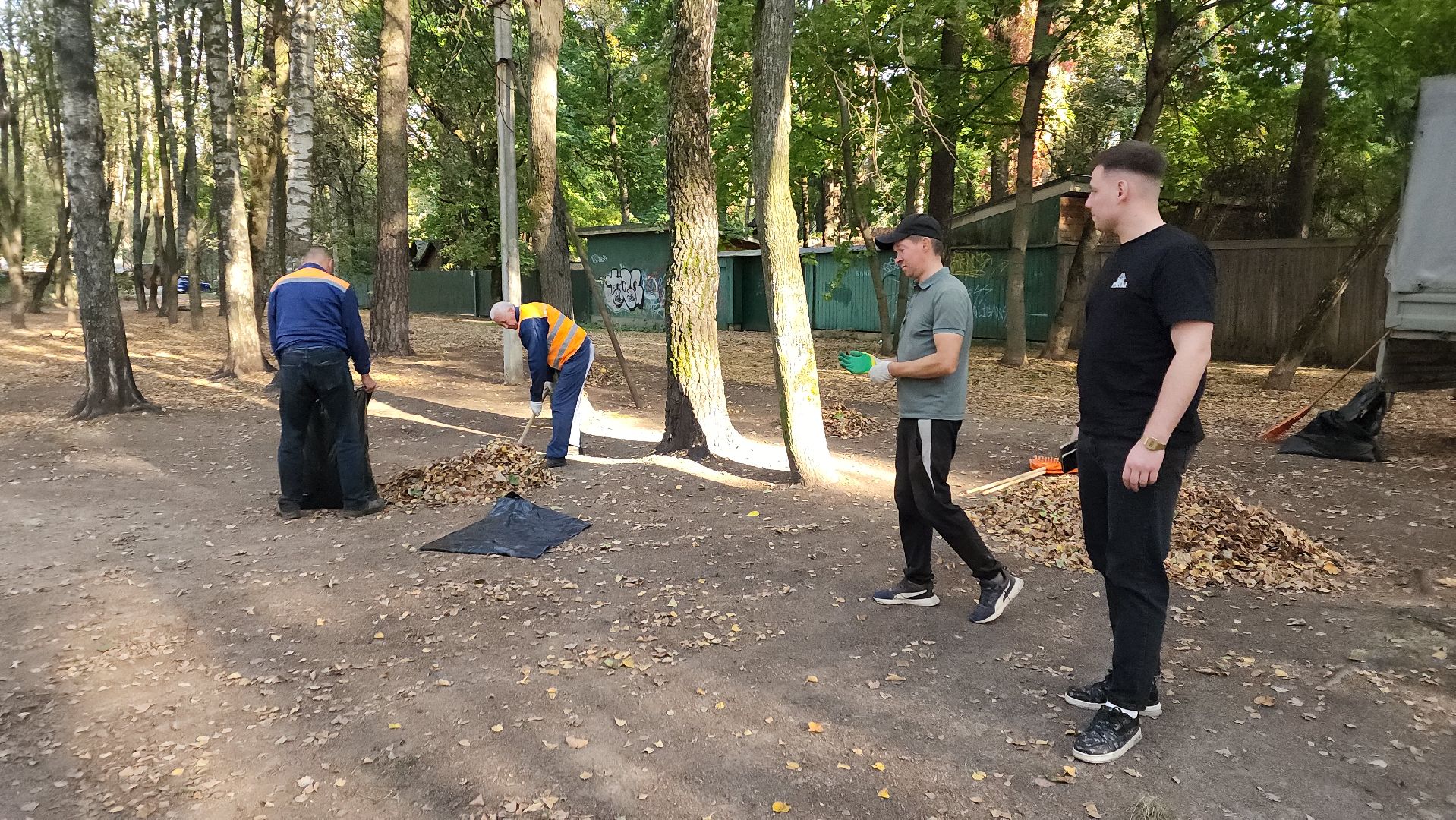 пушкино, литература, писатели, уборка дворов осенью, благоустройство, жкх,