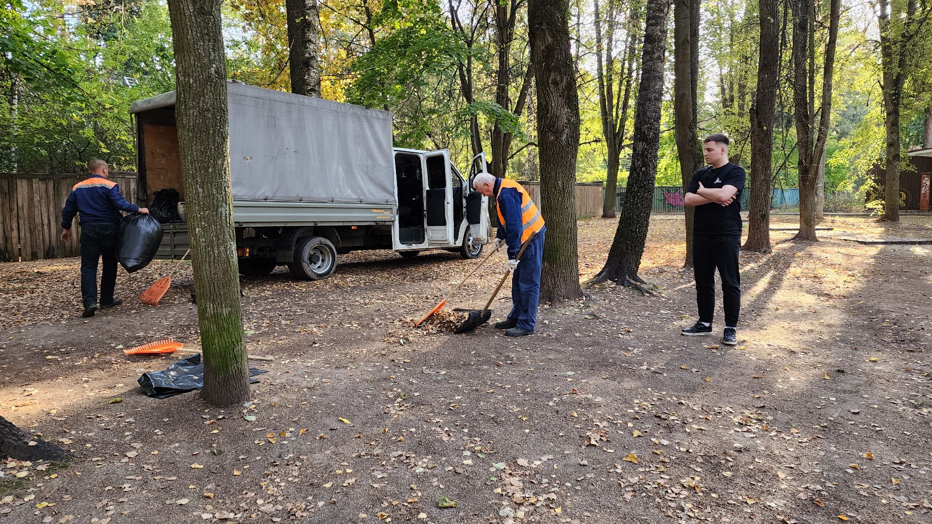 пушкино, литература, писатели, уборка дворов осенью, благоустройство, жкх,