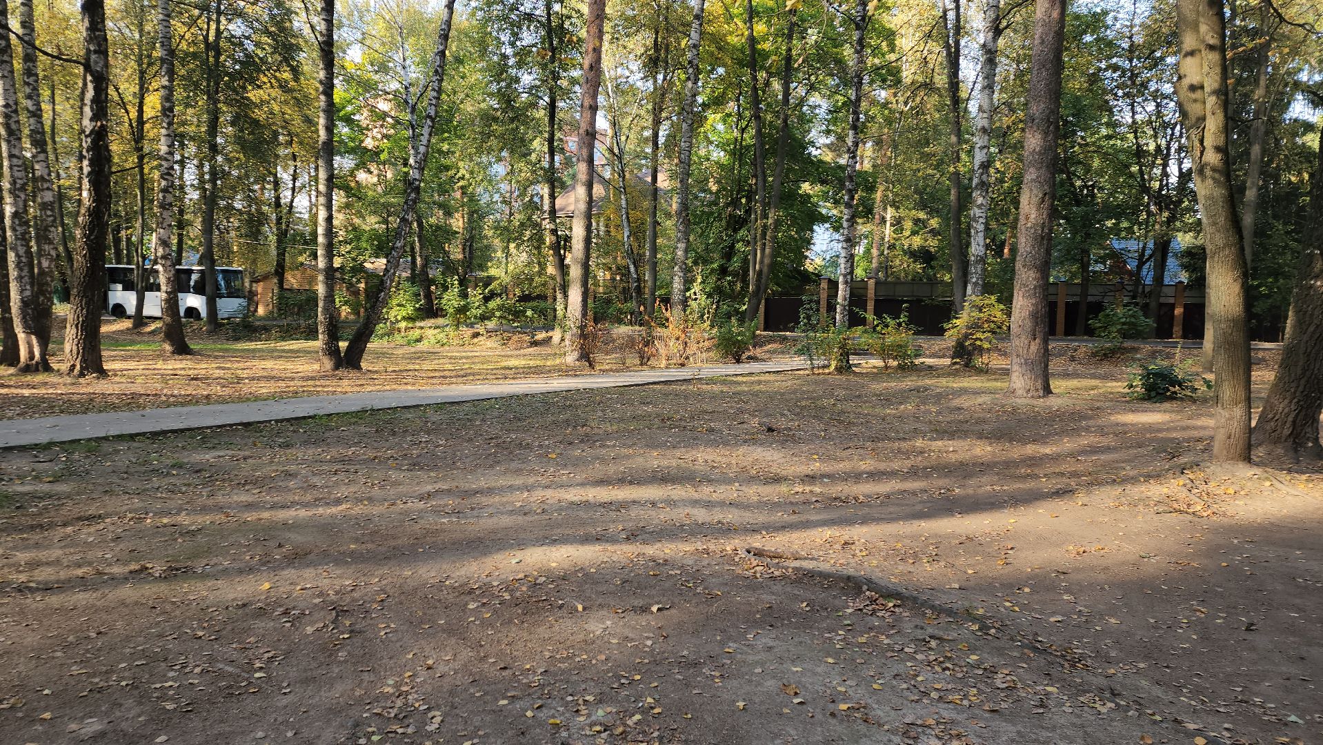 пушкино, литература, писатели, уборка дворов осенью, благоустройство, жкх,