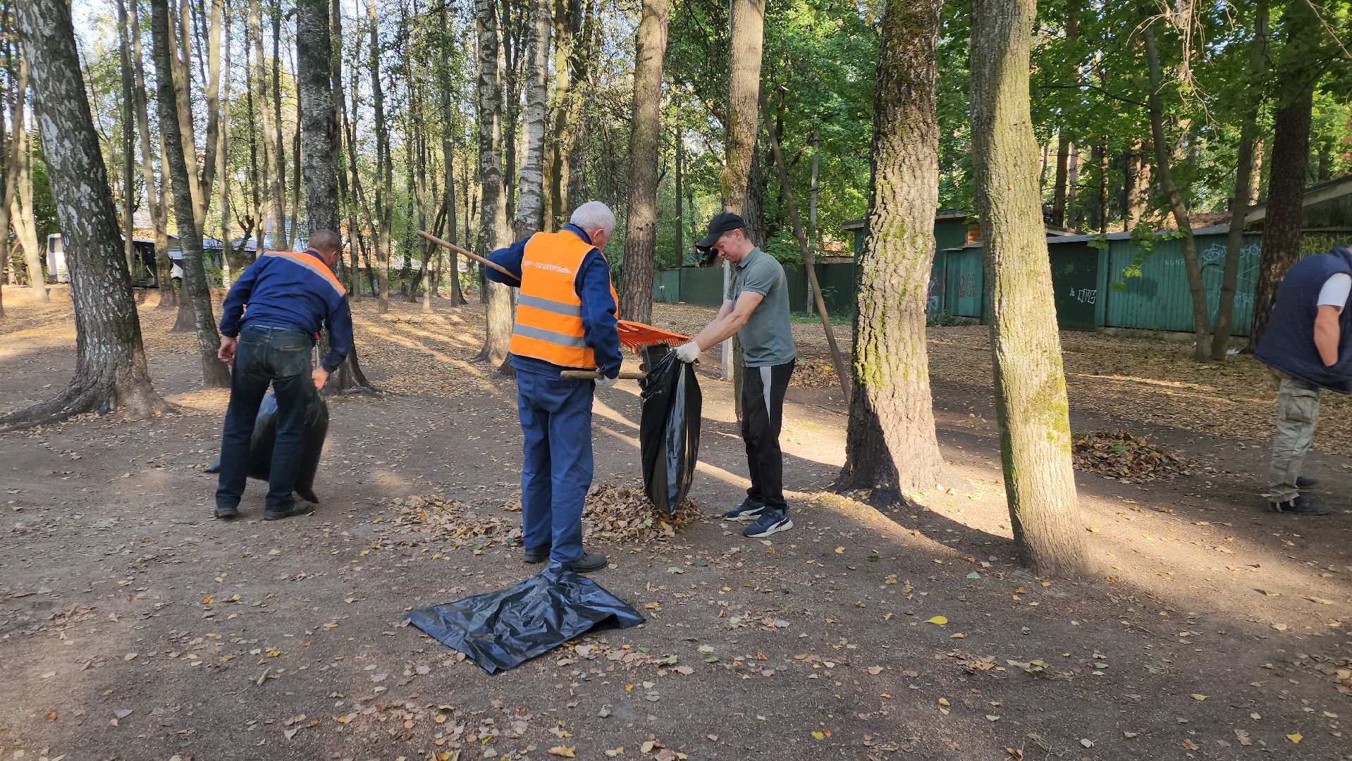 пушкино, литература, писатели, уборка дворов осенью, благоустройство, жкх,