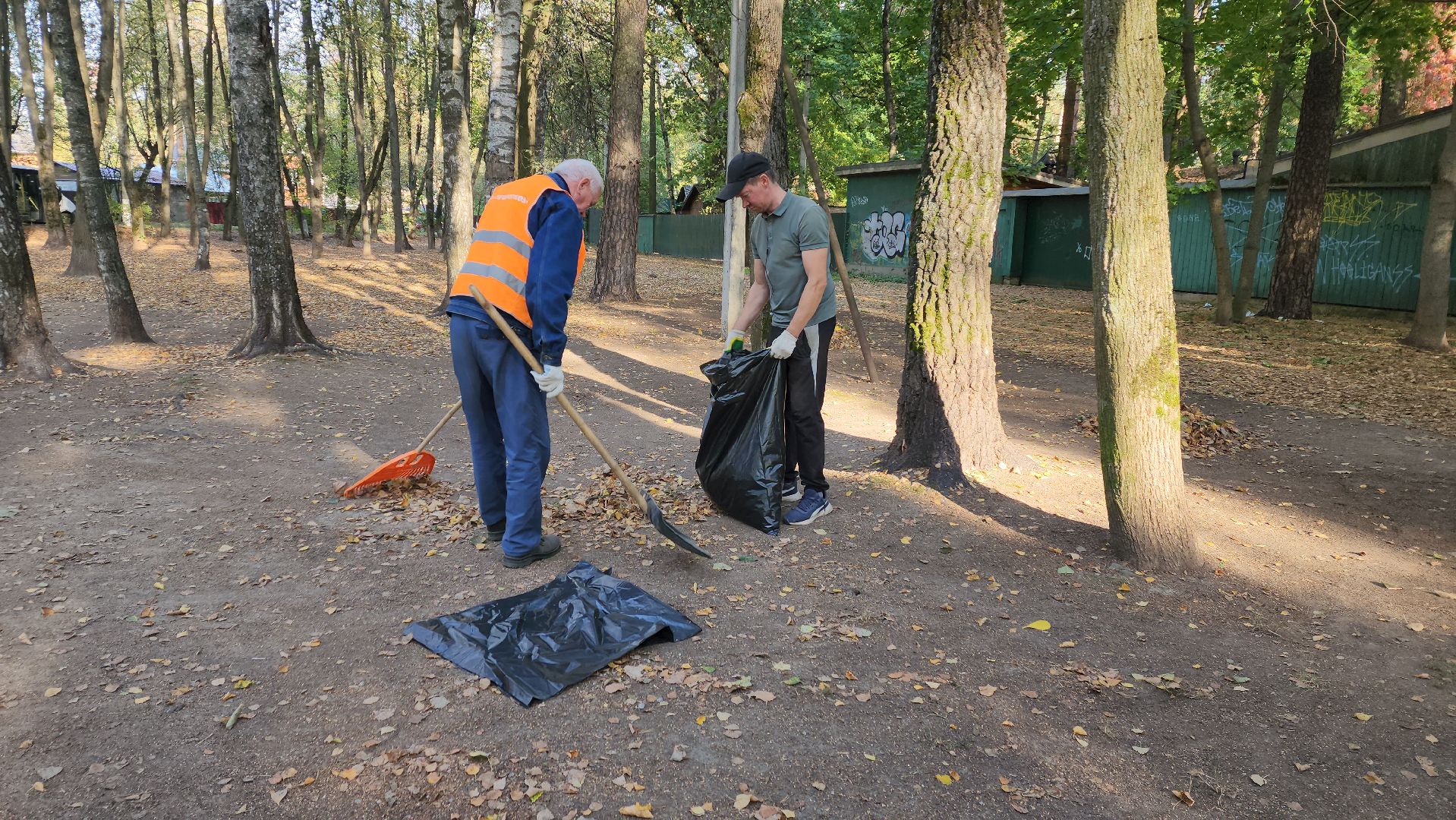 пушкино, литература, писатели, уборка дворов осенью, благоустройство, жкх,