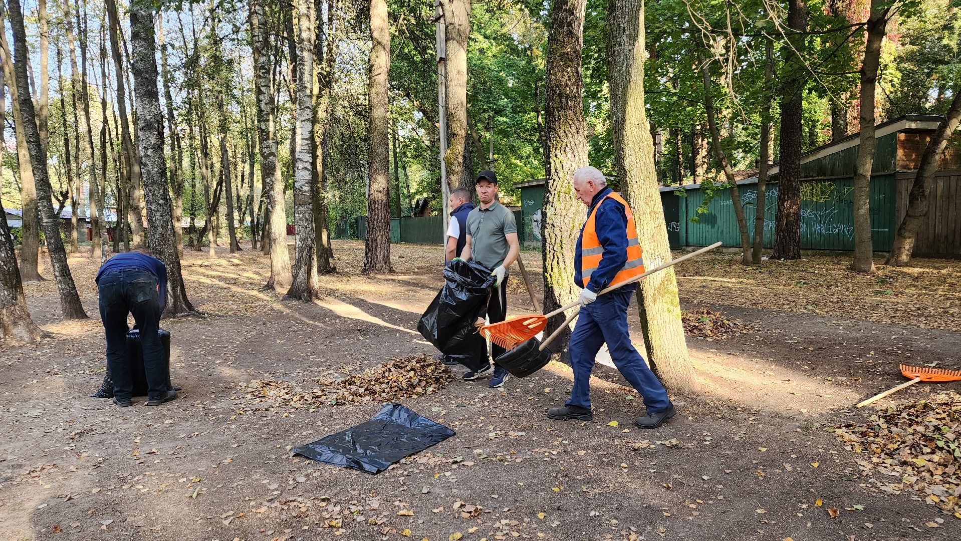 пушкино, литература, писатели, уборка дворов осенью, благоустройство, жкх,
