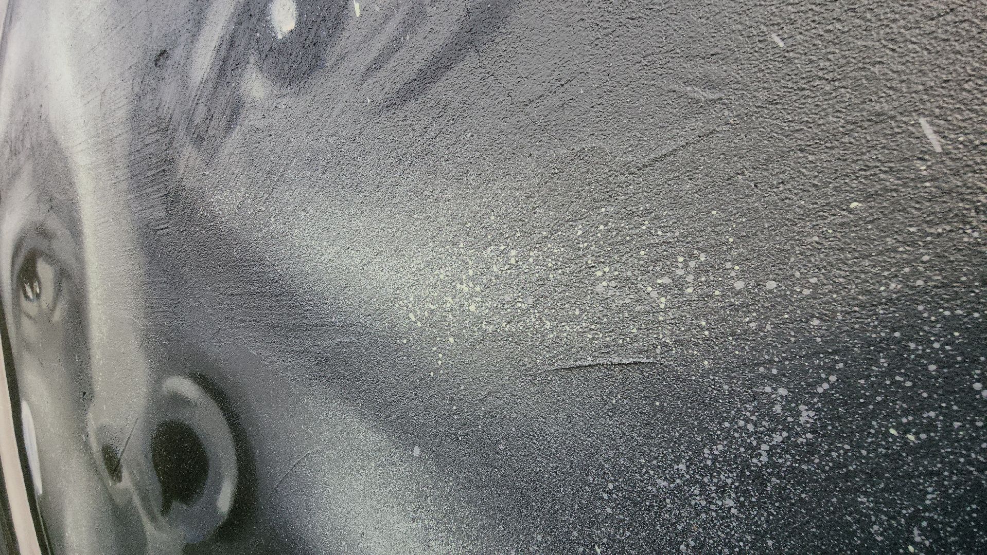 Павловский Посад, городской округ павловский посад, жители, люди, благоустройство, граффити,