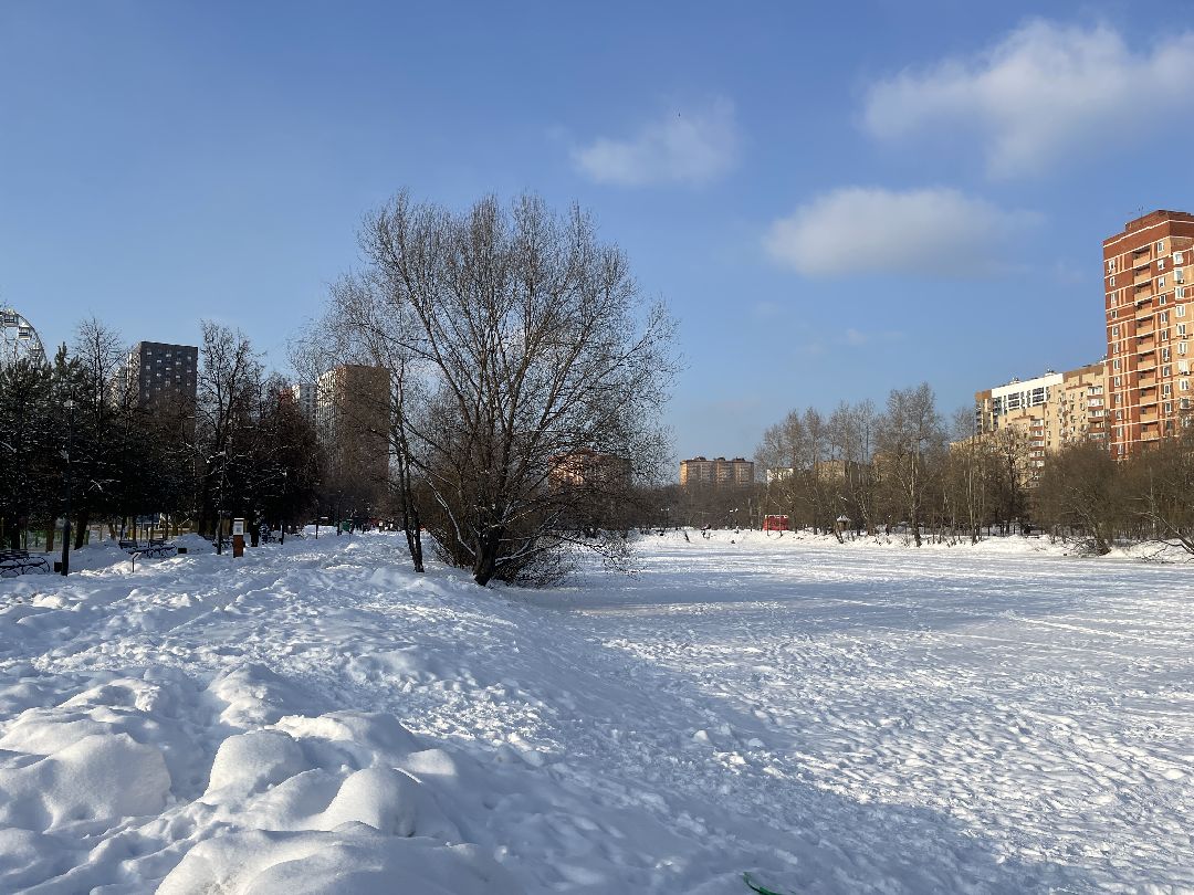 Парк, благоустройство, реконструкция