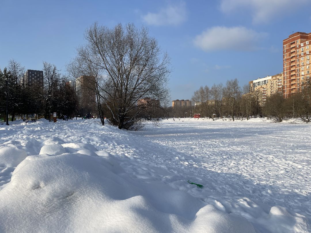 Парк, благоустройство, реконструкция