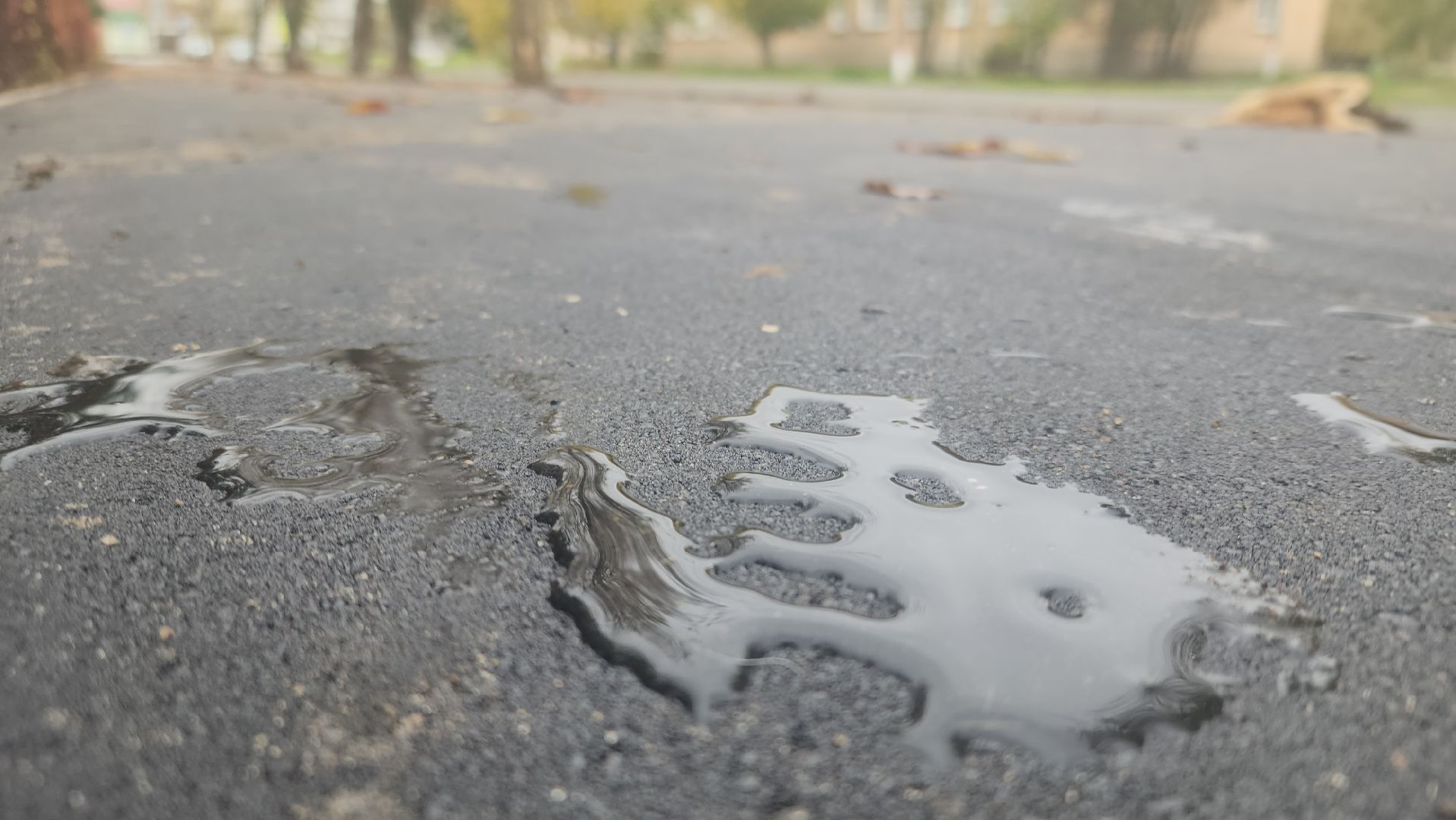 Павловский Посад, Городской округ Павловский Посад, Люди, Жители, Школа, Благоустройство, Тротуар,