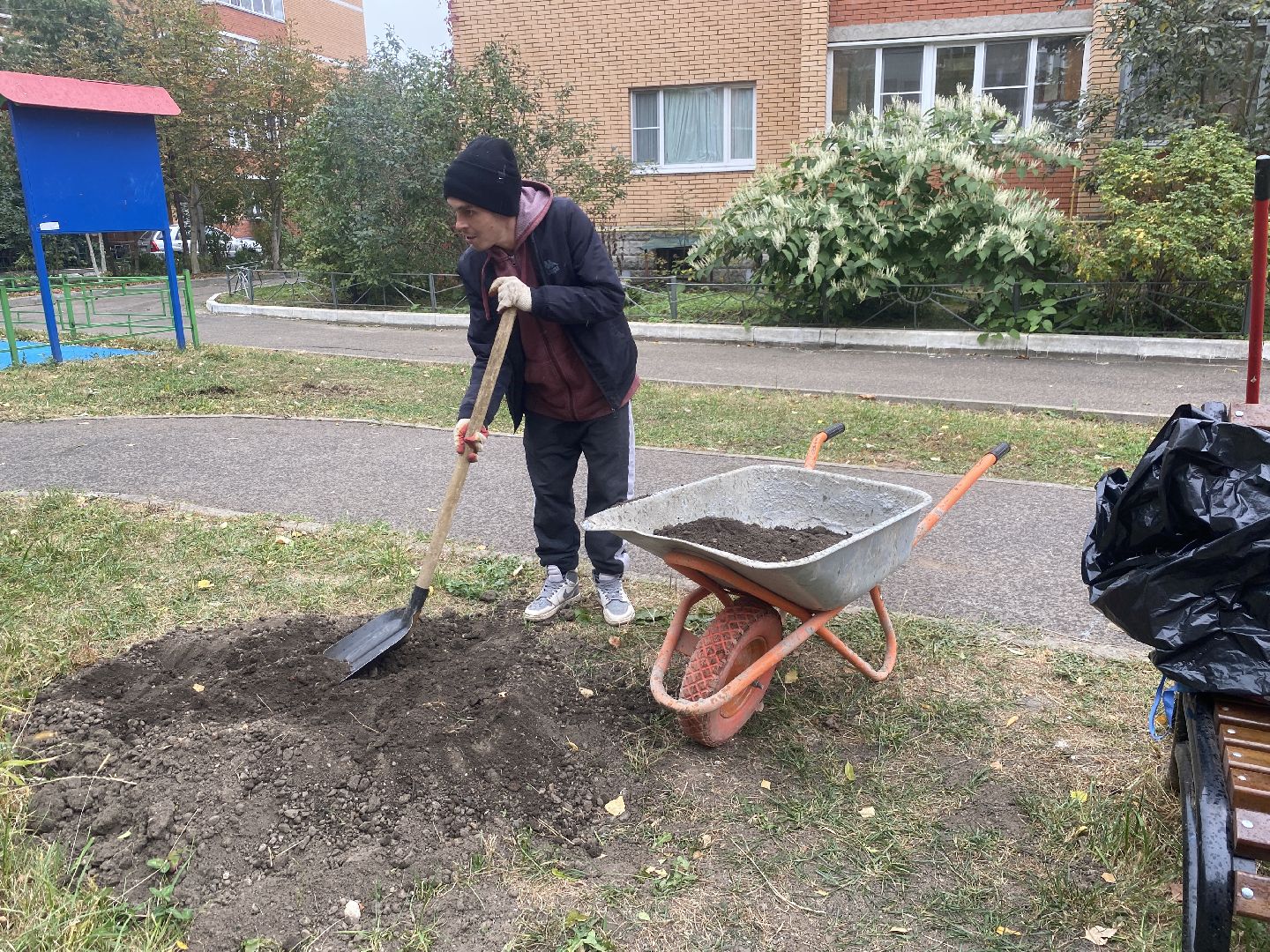 экологическая акция, посадка деревьев, наш лес, посади свое дерево, власиха Березка,