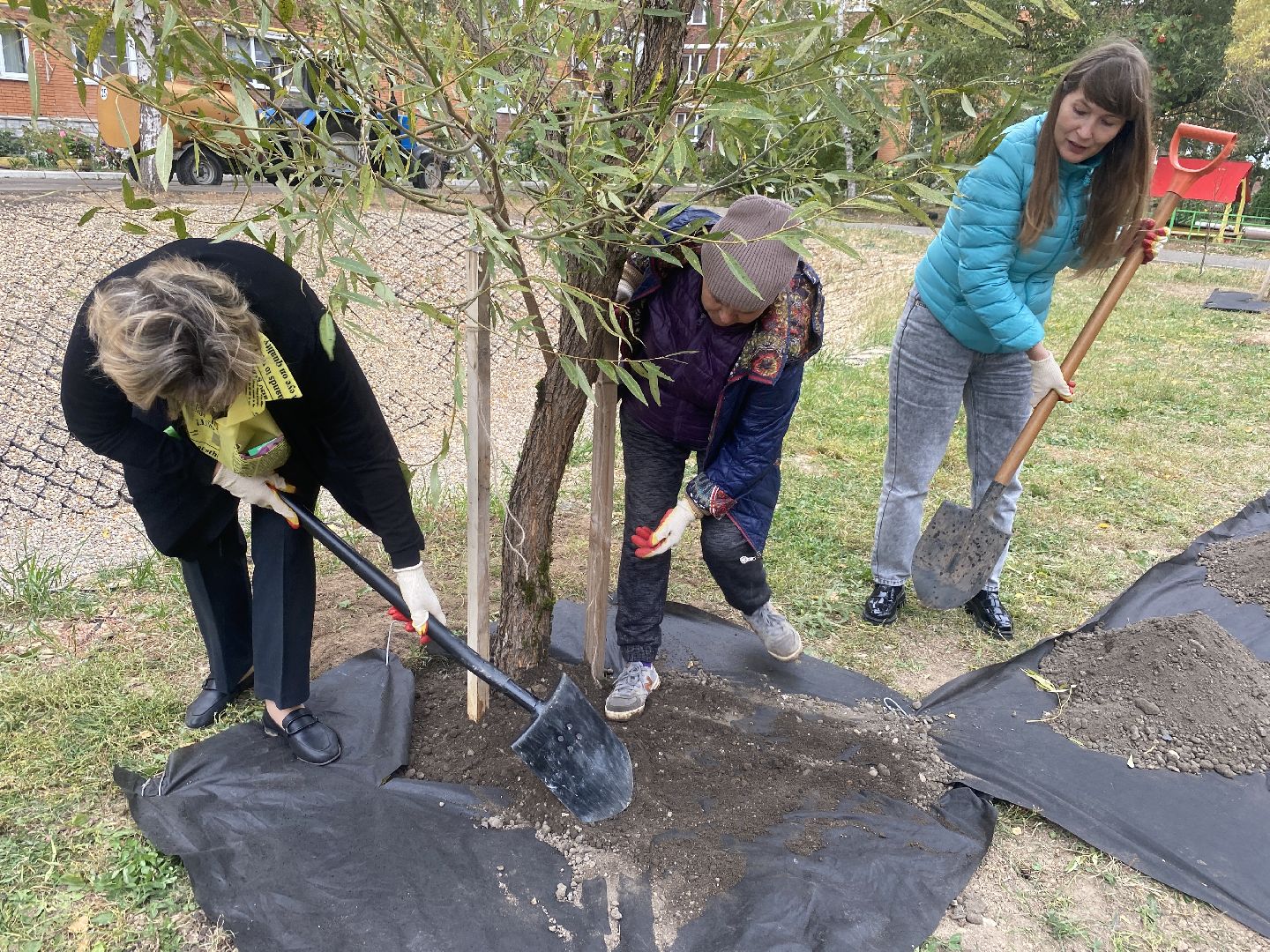 экологическая акция, посадка деревьев, наш лес, посади свое дерево, власиха Березка,