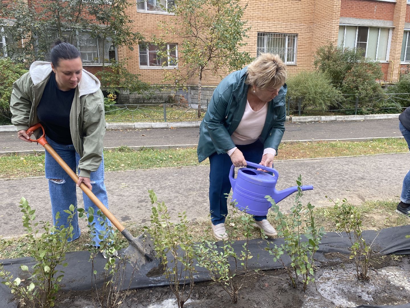 экологическая акция, посадка деревьев, наш лес, посади свое дерево, власиха Березка,