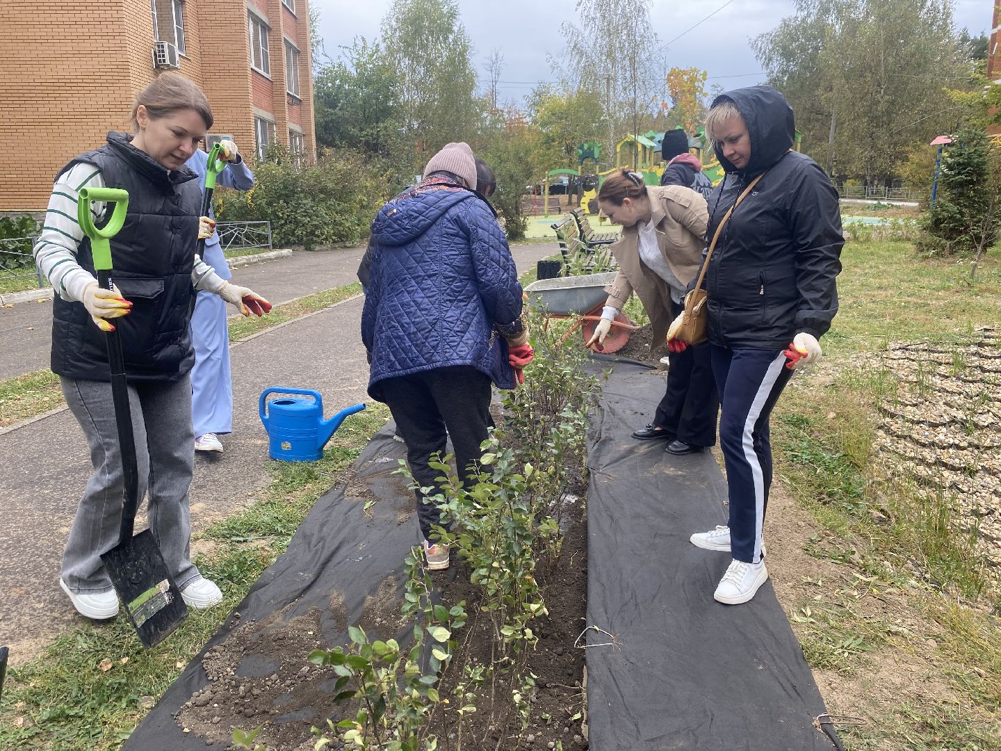 экологическая акция, посадка деревьев, наш лес, посади свое дерево, власиха Березка,