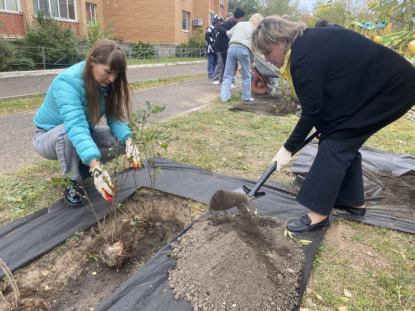 экологическая акция, посадка деревьев, наш лес, посади свое дерево, власиха Березка,