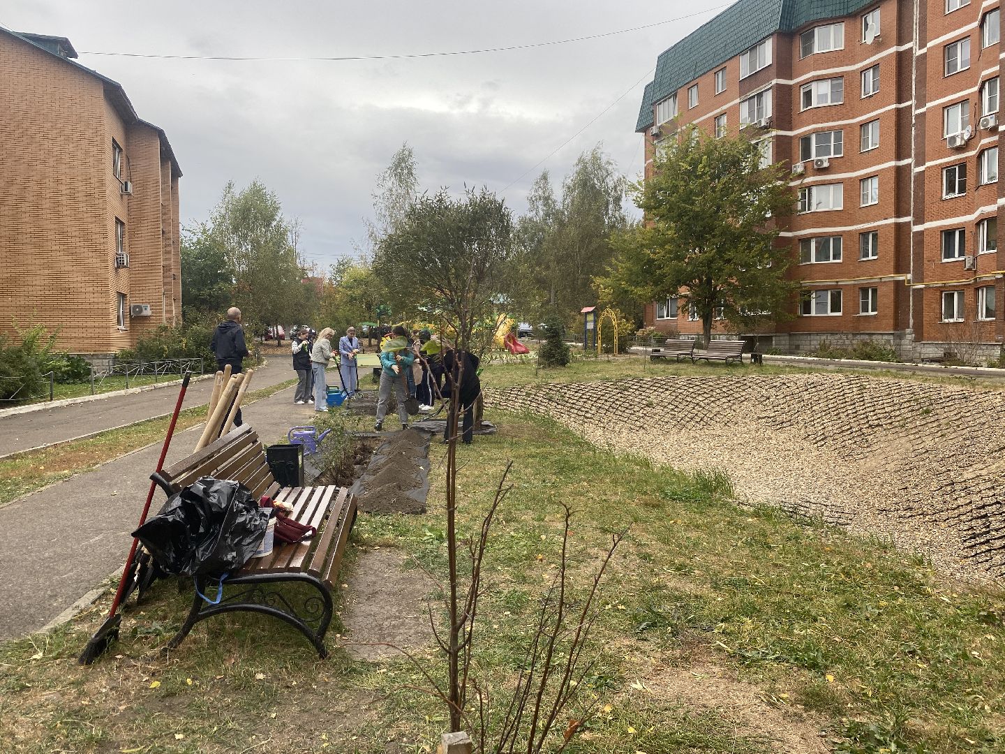 экологическая акция, посадка деревьев, наш лес, посади свое дерево, власиха Березка,