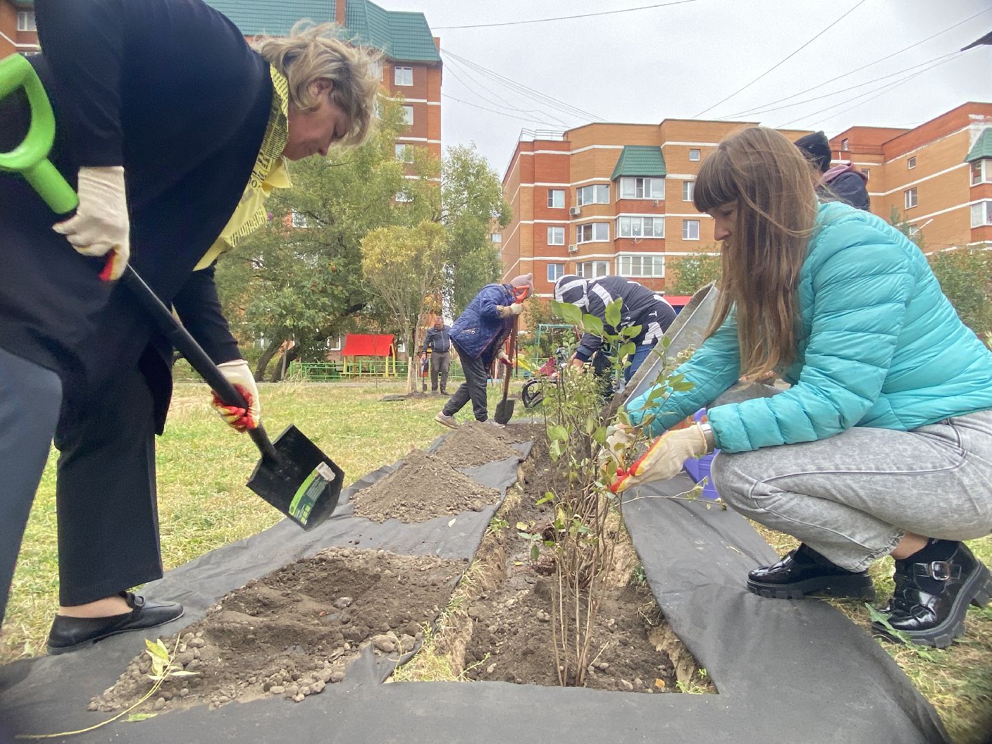 экологическая акция, посадка деревьев, наш лес, посади свое дерево, власиха Березка,