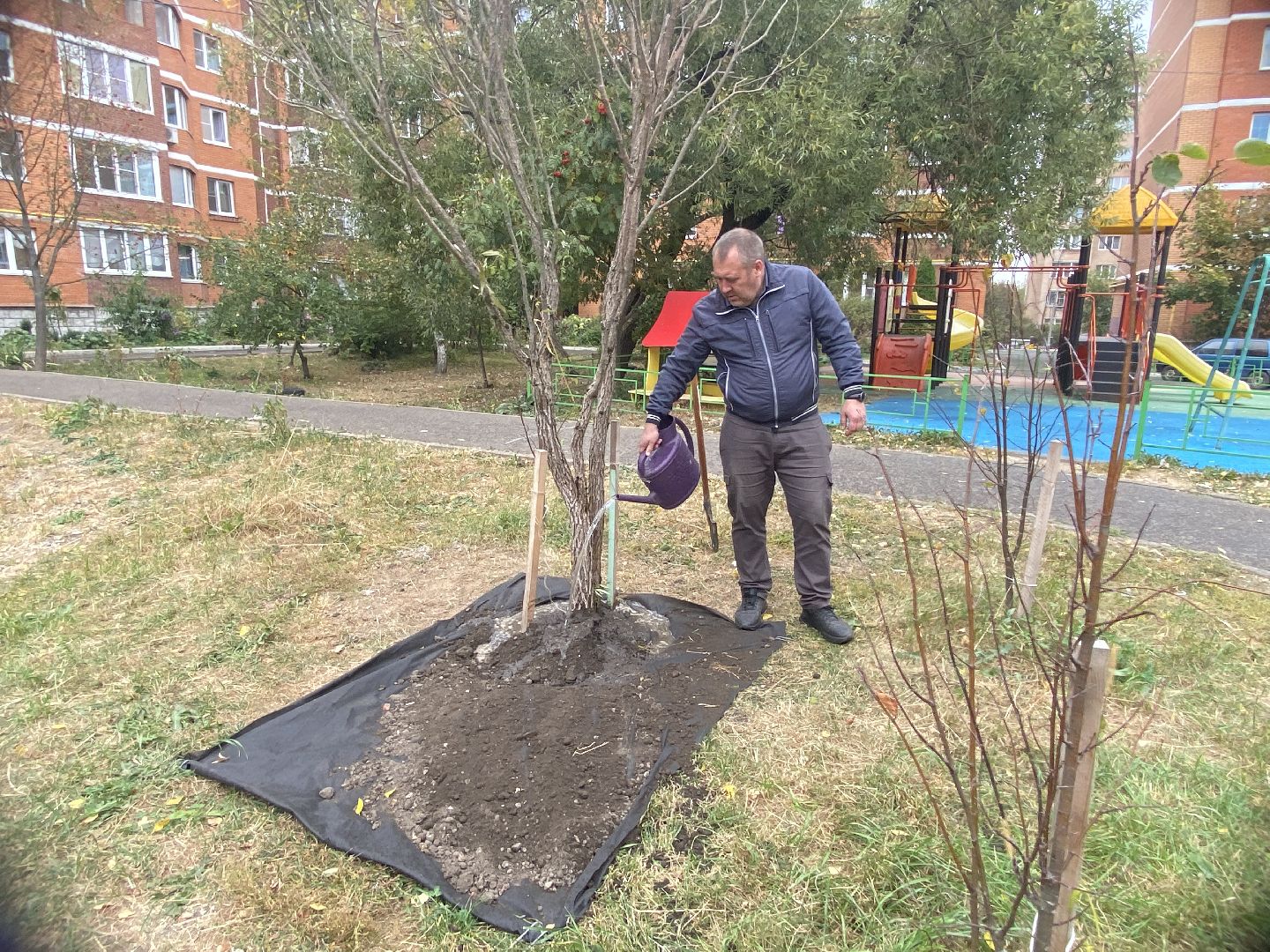 экологическая акция, посадка деревьев, наш лес, посади свое дерево, власиха Березка,
