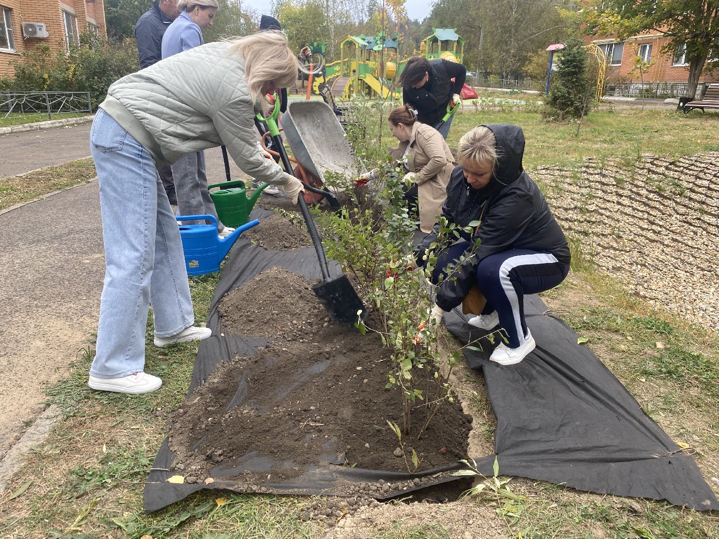 экологическая акция, посадка деревьев, наш лес, посади свое дерево, власиха Березка,