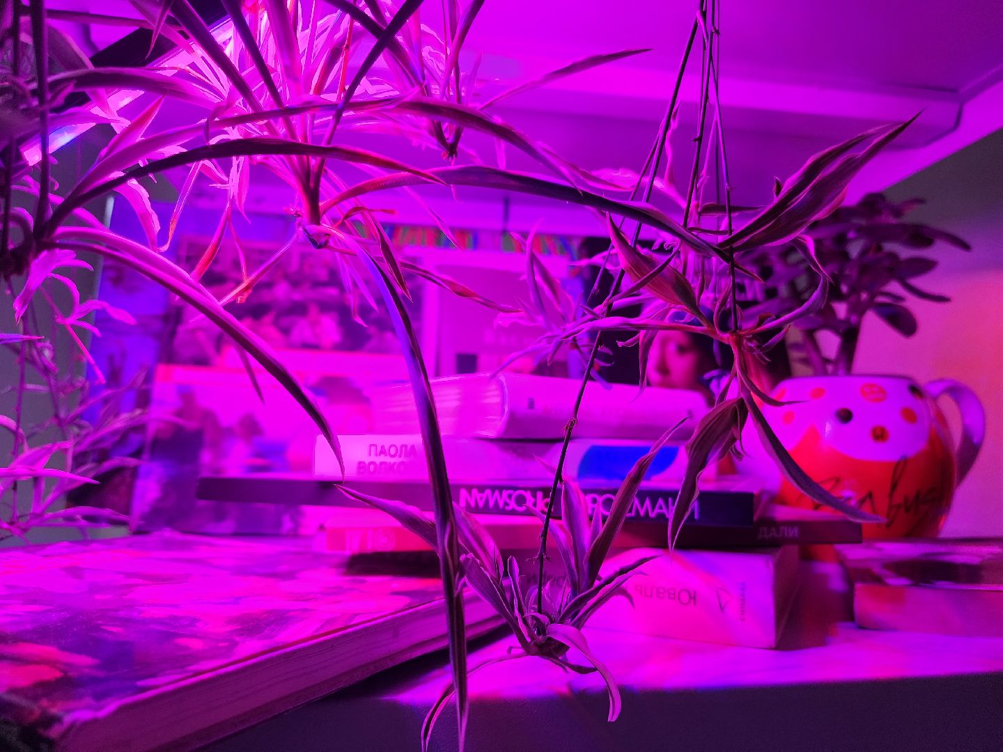 мфти, современное искусство, Валерий Чтак, караоке, боталка,