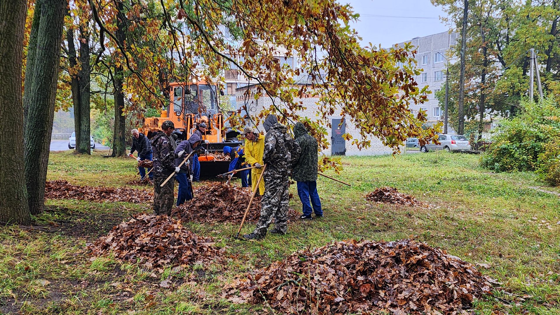 Поселок Горка, Уборка листы, Подготовка к зиме в Бронницах, Уборка опавшей листы в Бронницах,
