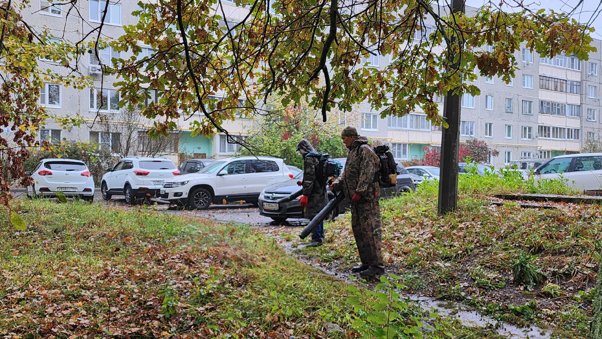 Поселок Горка, Уборка листы, Подготовка к зиме в Бронницах, Уборка опавшей листы в Бронницах,
