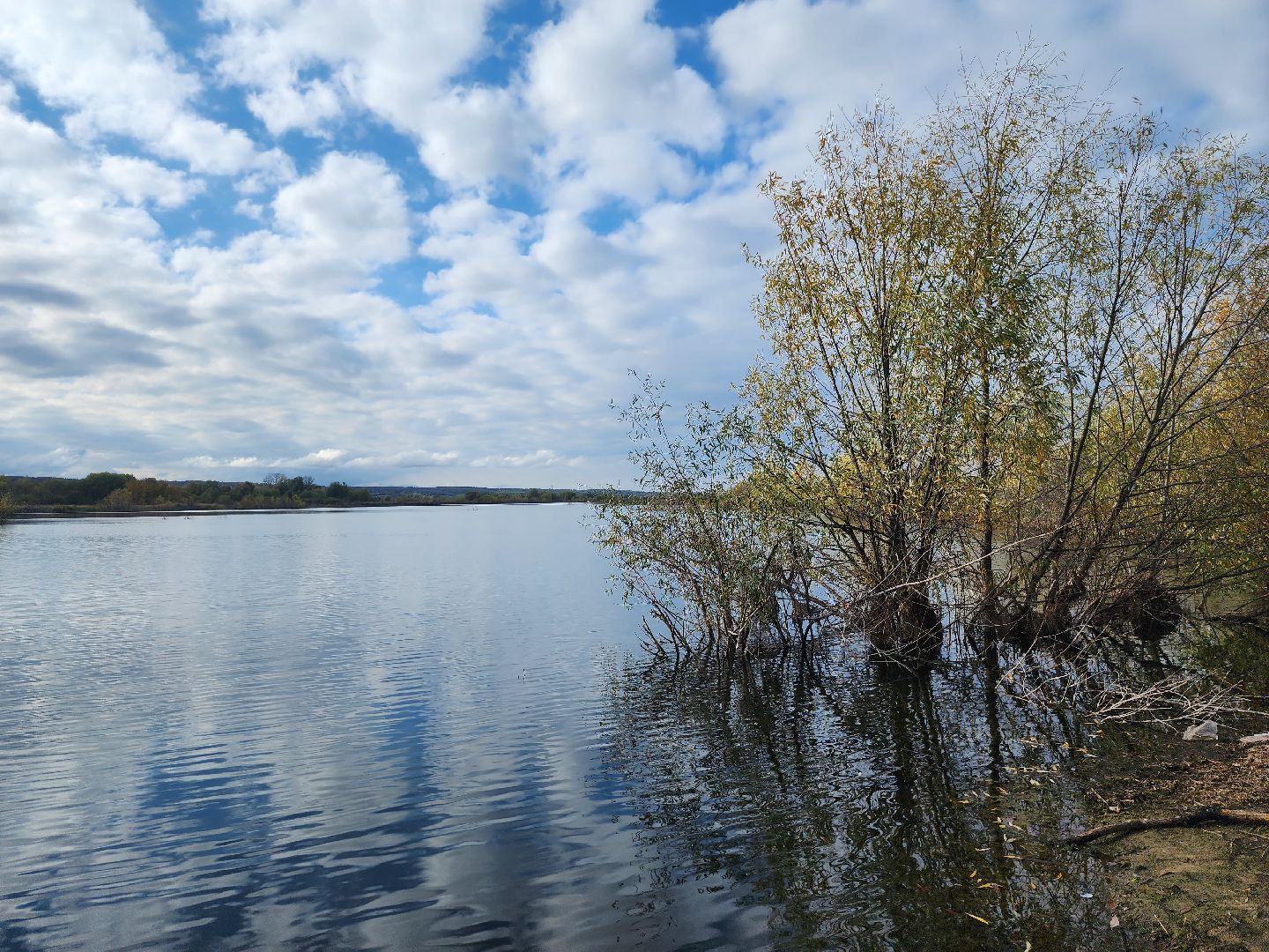 Коломна, Озёры, благоустройство, общественное пространство, формирование комфортной городской среды,