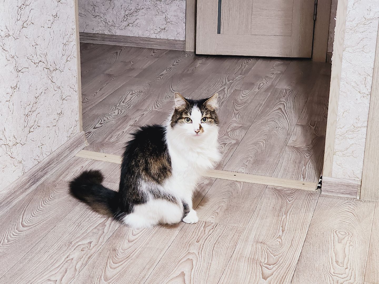 Егорьевск, Подмосковье, Московская область, Теплосети, ЖКХ, капитальный ремонт,