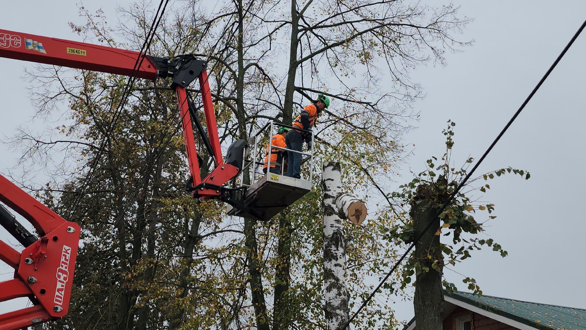 серпухов, сво, комбинат благоустройства, спилили дерево, центр поддержки военных,
