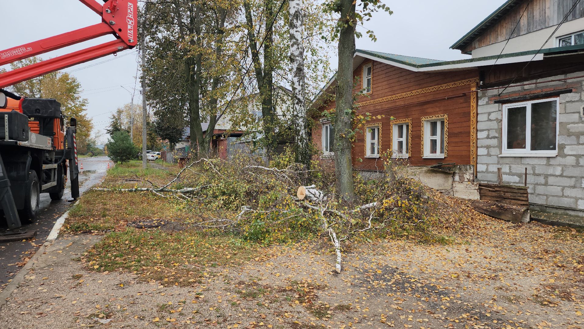 серпухов, сво, комбинат благоустройства, спилили дерево, центр поддержки военных,