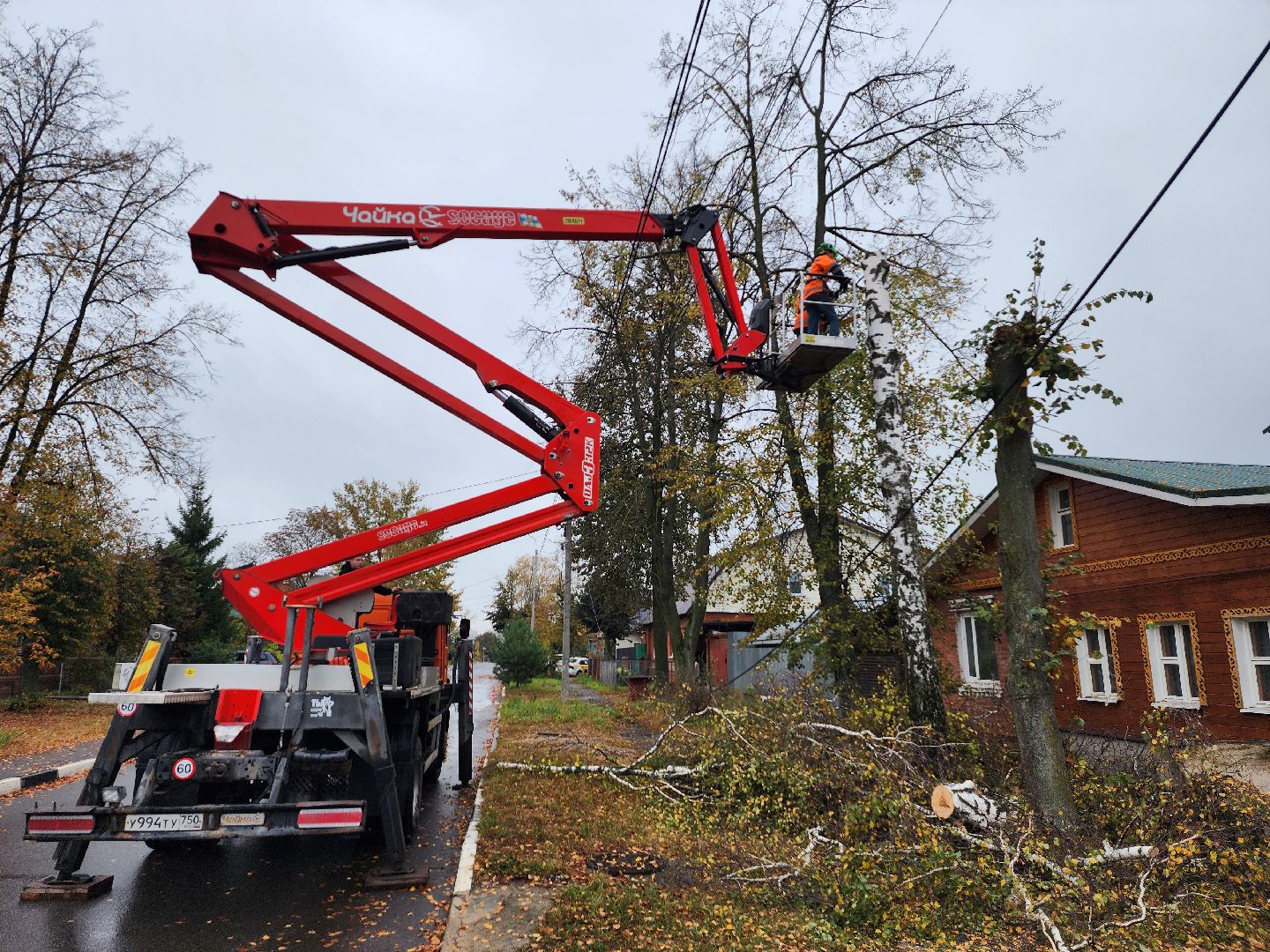 серпухов, сво, комбинат благоустройства, спилили дерево, центр поддержки военных,