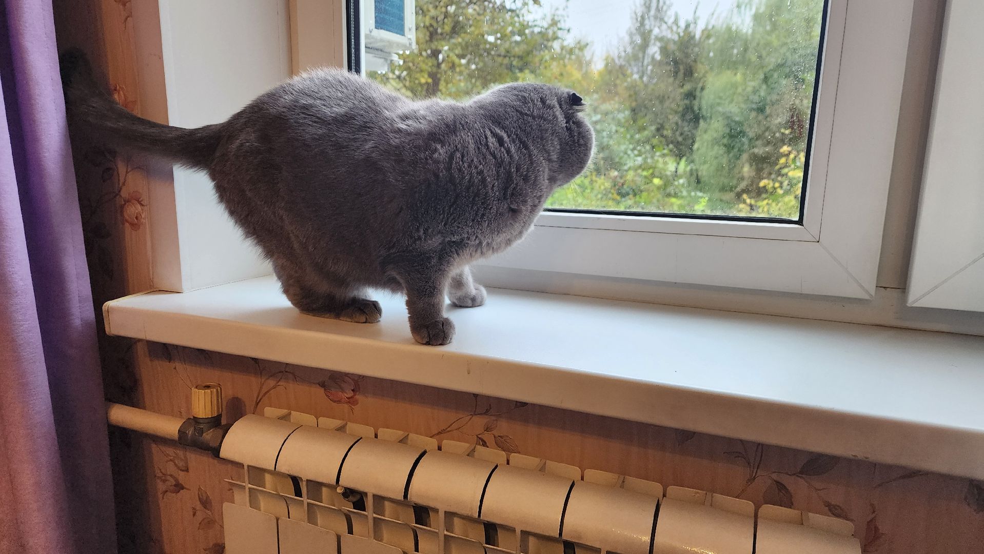 Солнечногорск, ЖКХ, отопление, Военный городок,