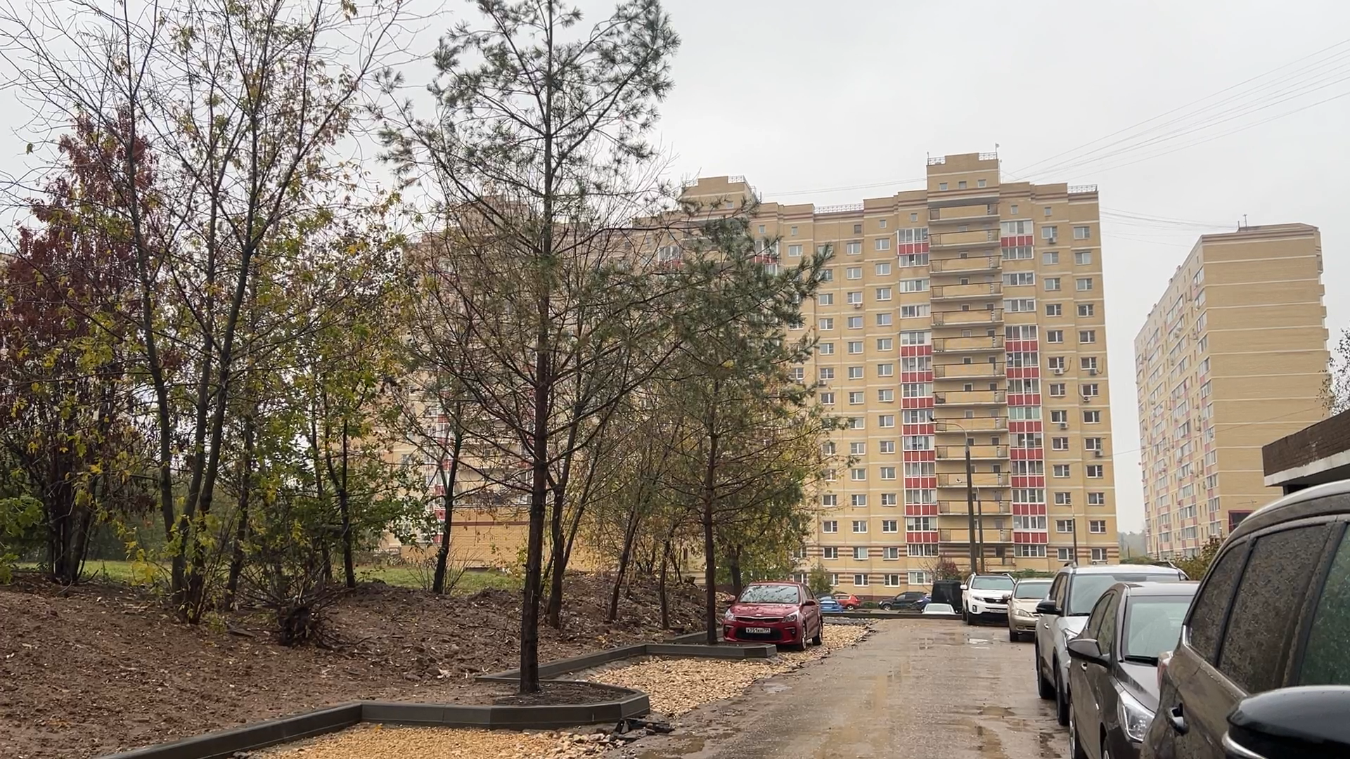 комплексное благоустройство власиха, благоустройство территории, власиха Школьный, Власиха Тополек, обход территории власиха,