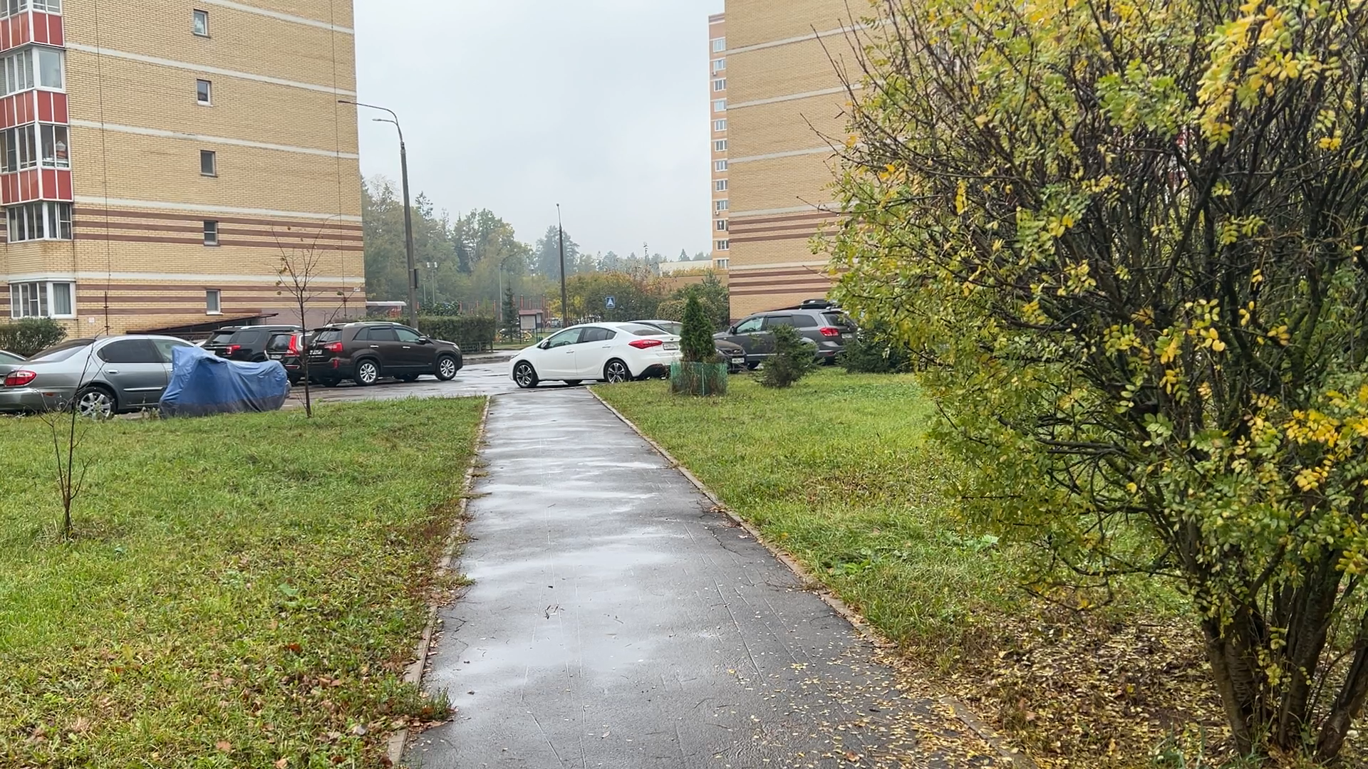 комплексное благоустройство власиха, благоустройство территории, власиха Школьный, Власиха Тополек, обход территории власиха,