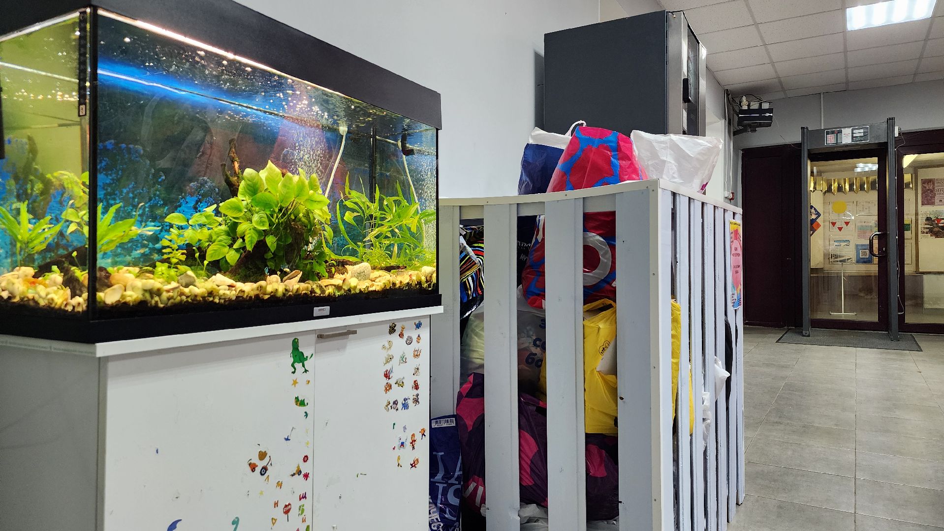 благотворительная акция, обмен вещами, Из рук в руки, Старая Купавна, Богородский городской округ,