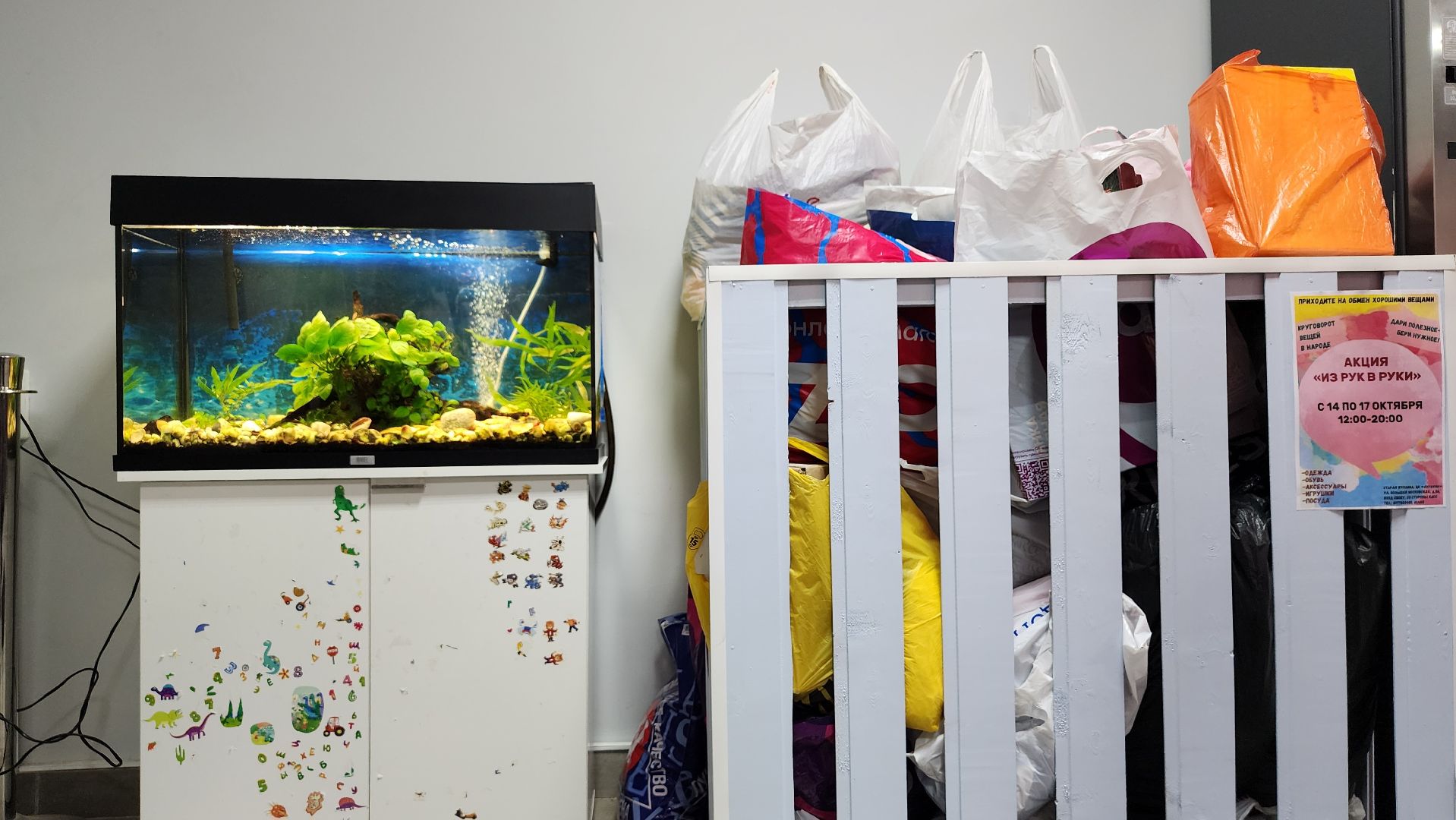 благотворительная акция, обмен вещами, Из рук в руки, Старая Купавна, Богородский городской округ,