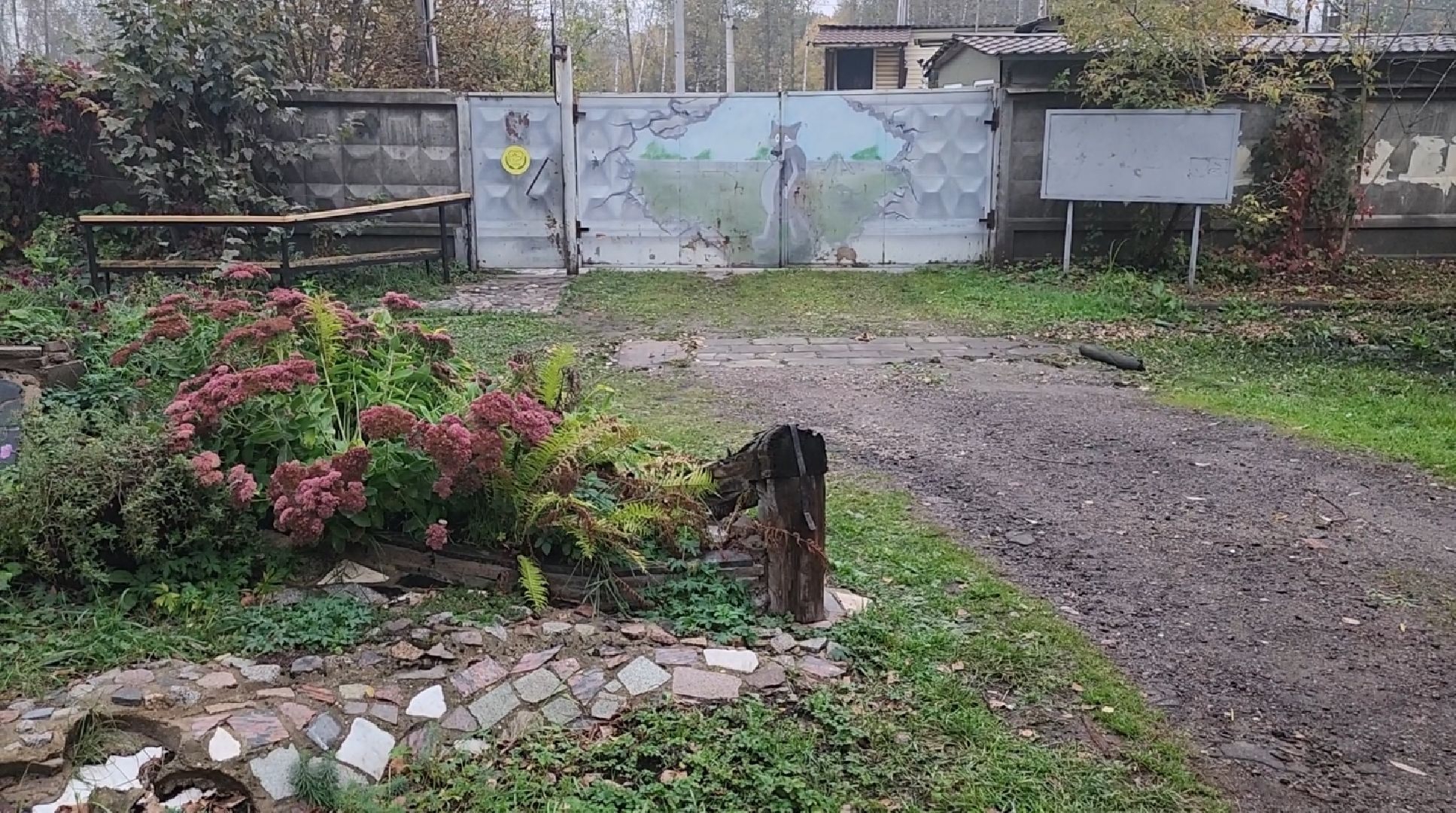 долгопрудный, x-легион, фронтовая собака, Премия МЫВМЕСТЕ, кинологи,грант,