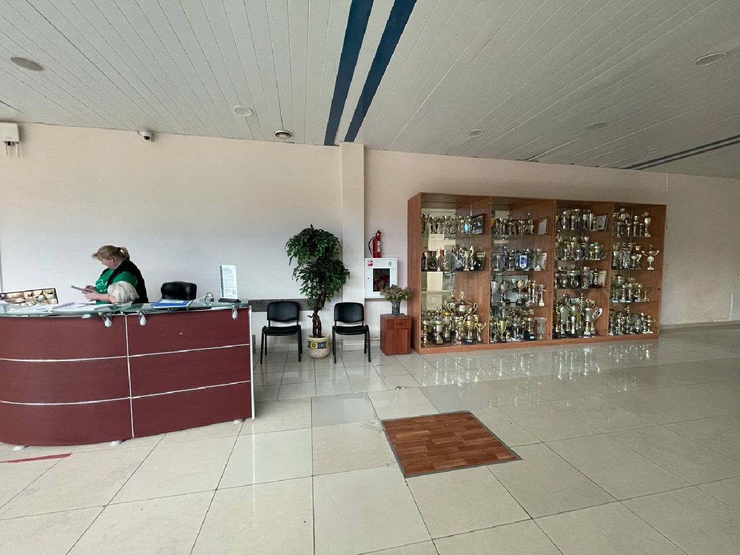 Дмитров, Ледовый дворец в Дмитрове, Минспорта,