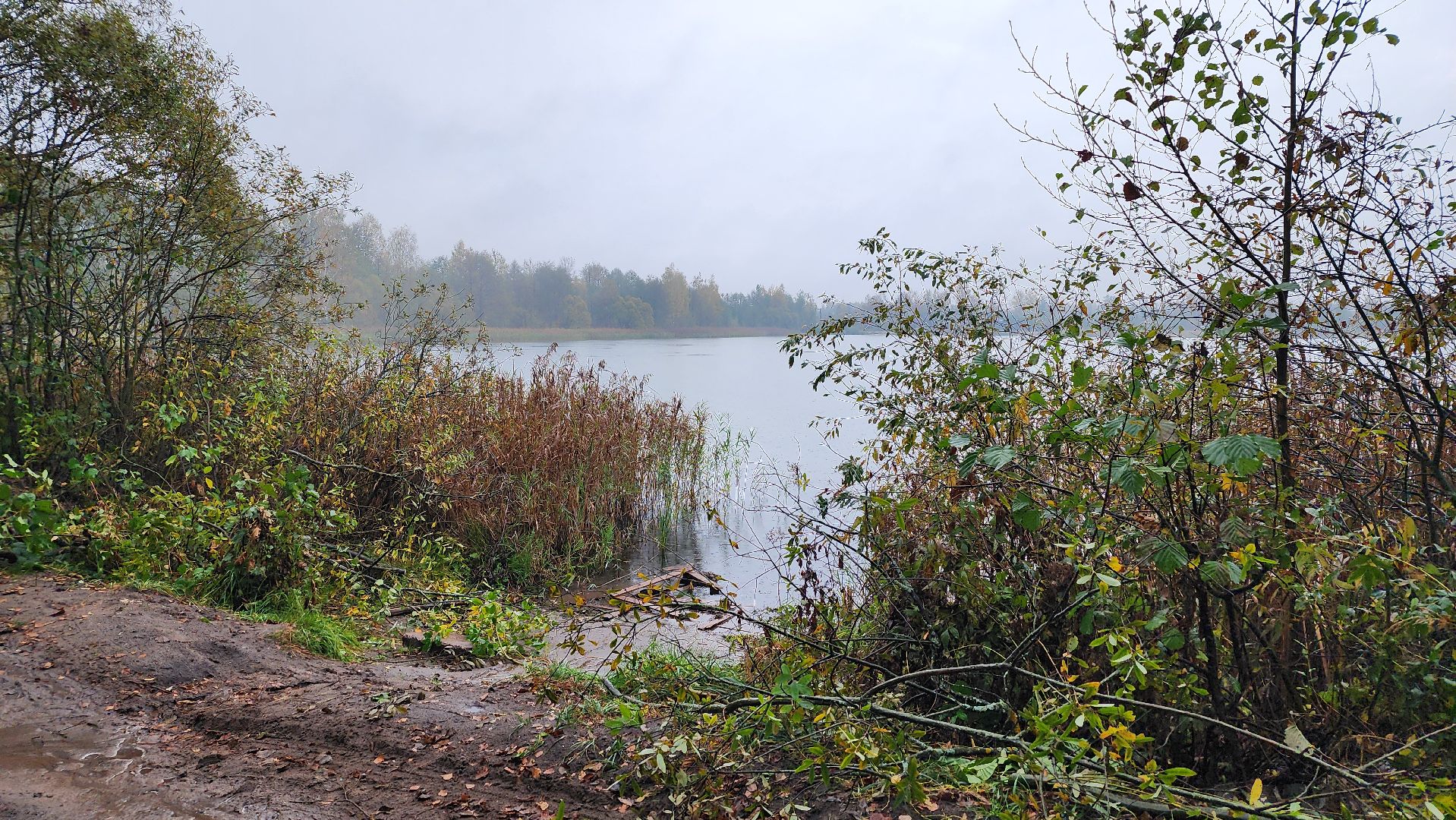 Рошаль, городской округ Шатура, озеро Юбилейное, благоустройство, план добрых дел,