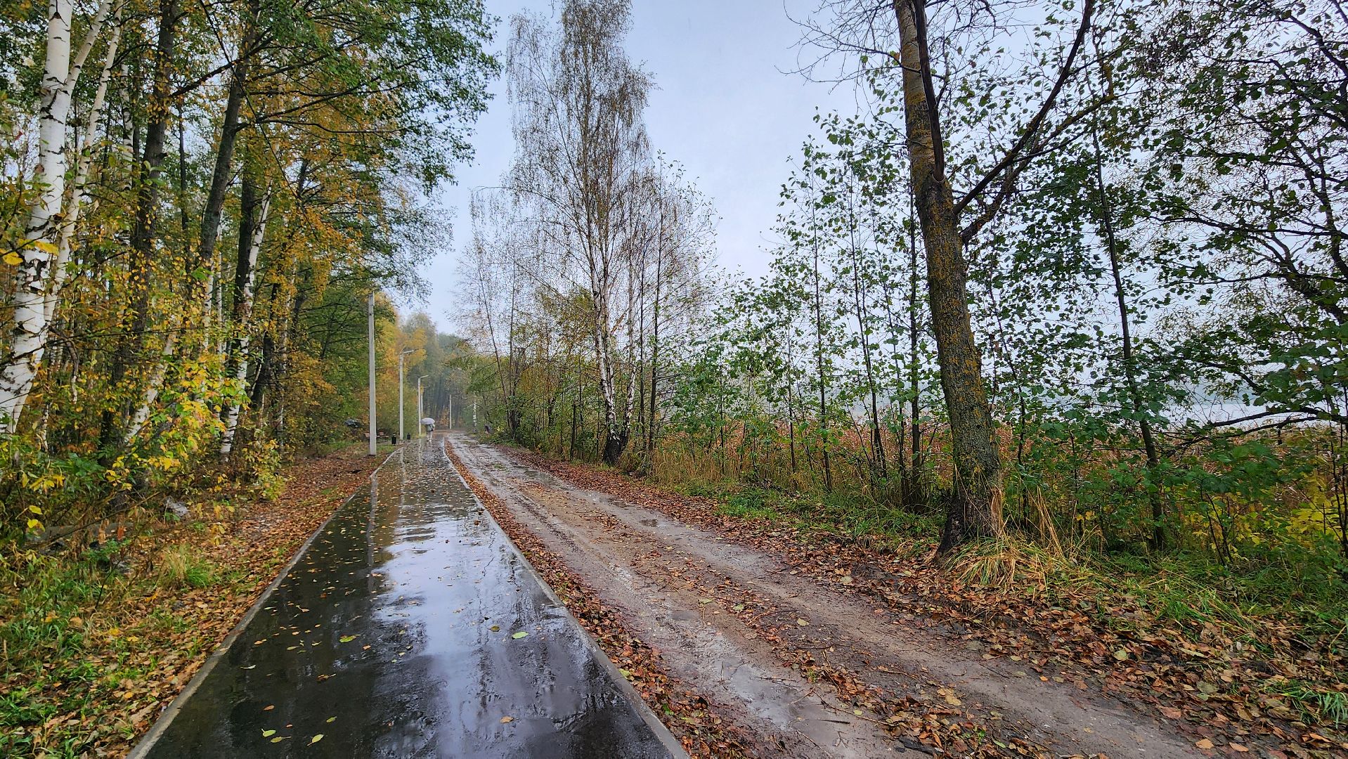 Рошаль, городской округ Шатура, озеро Юбилейное, благоустройство, план добрых дел,