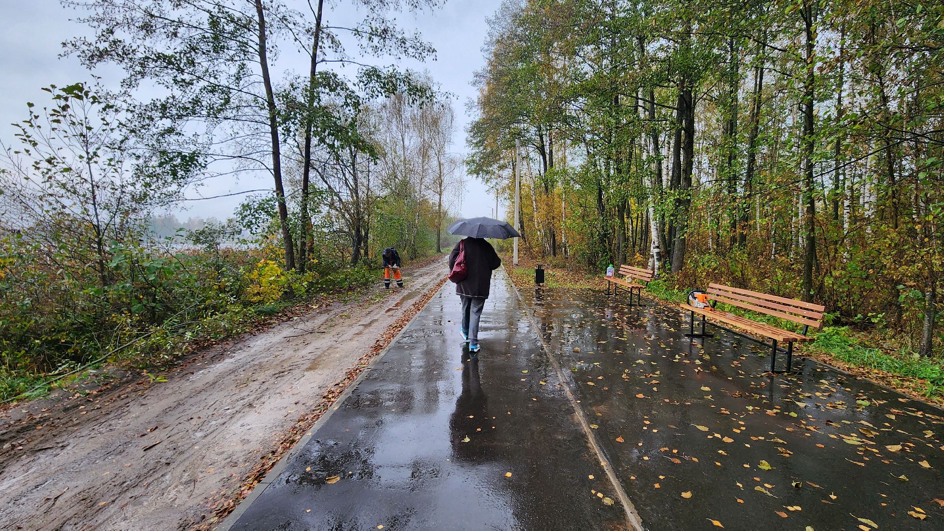 Рошаль, городской округ Шатура, озеро Юбилейное, благоустройство, план добрых дел,