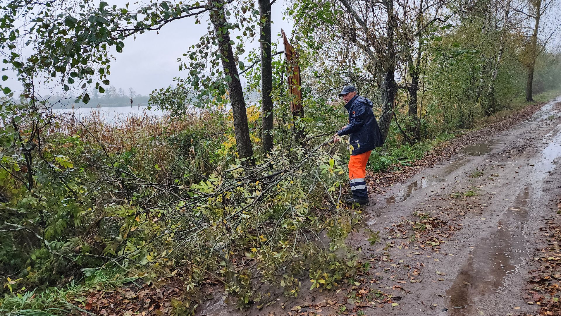 Рошаль, городской округ Шатура, озеро Юбилейное, благоустройство, план добрых дел,