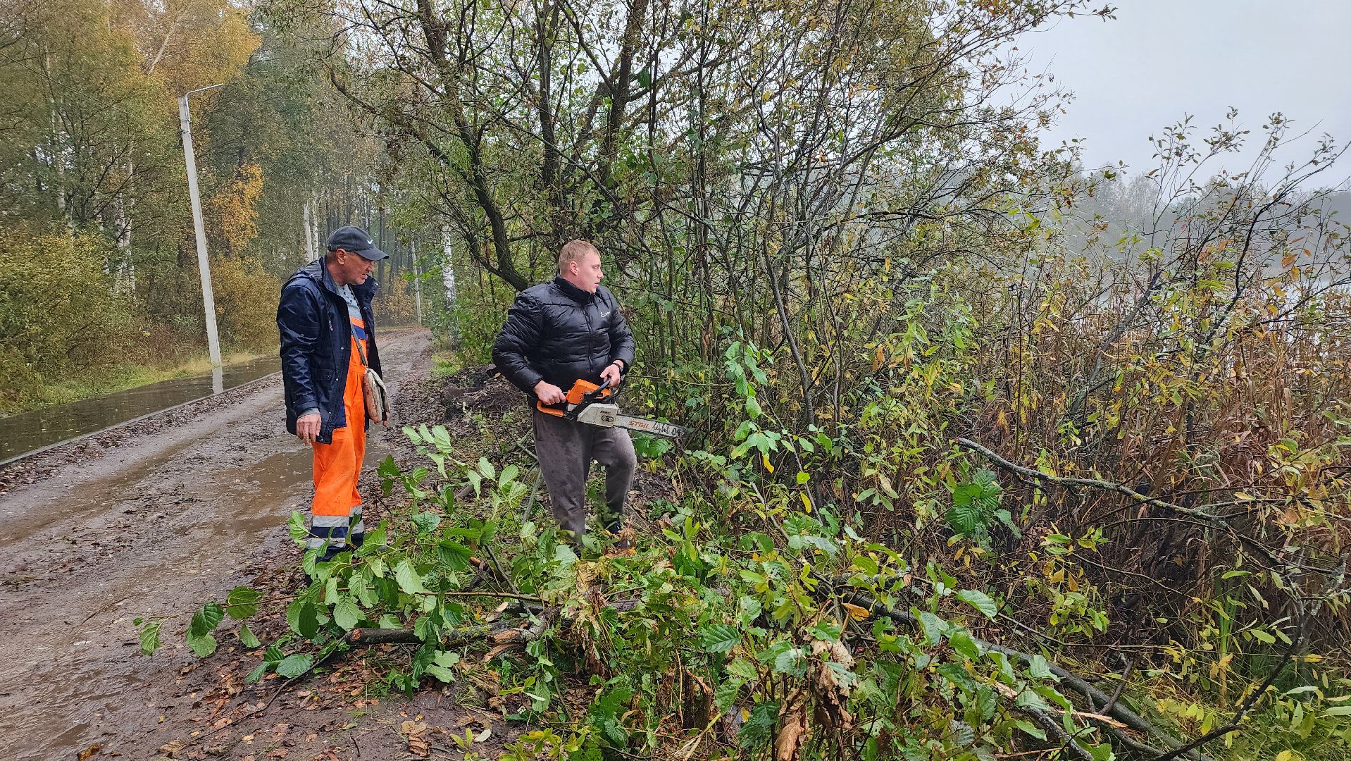 Рошаль, городской округ Шатура, озеро Юбилейное, благоустройство, план добрых дел,