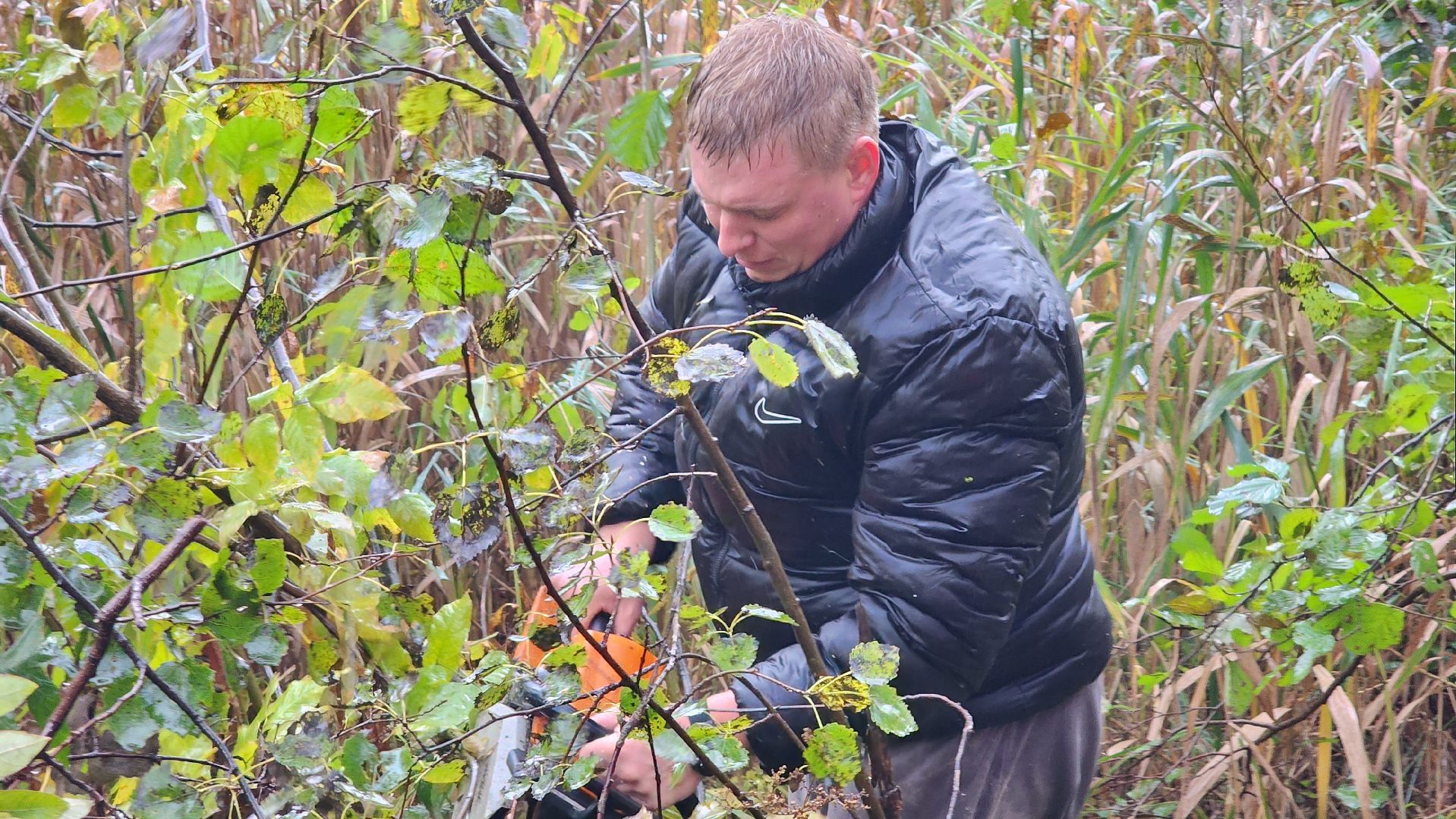 Рошаль, городской округ Шатура, озеро Юбилейное, благоустройство, план добрых дел,