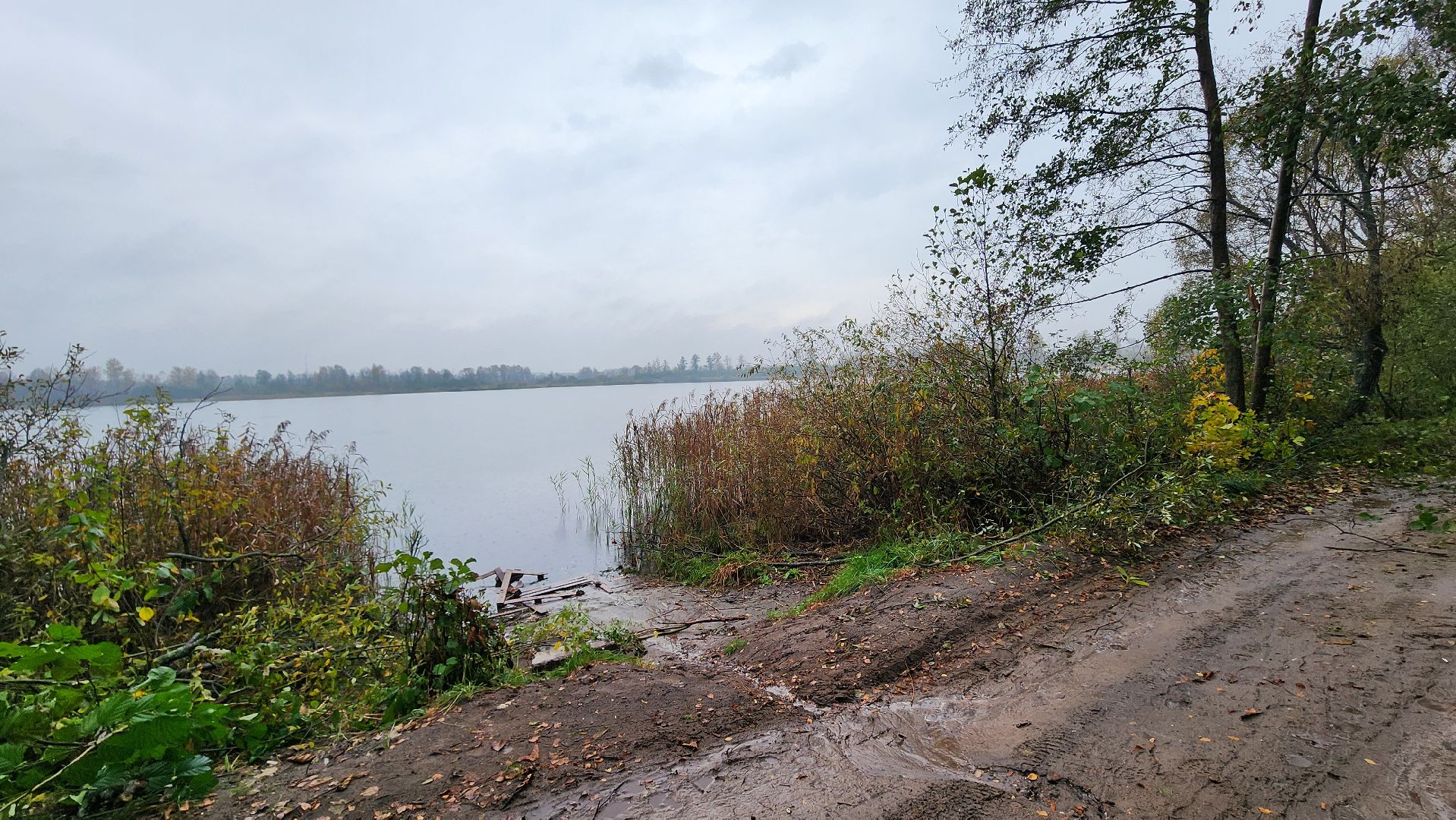 Рошаль, городской округ Шатура, озеро Юбилейное, благоустройство, план добрых дел,