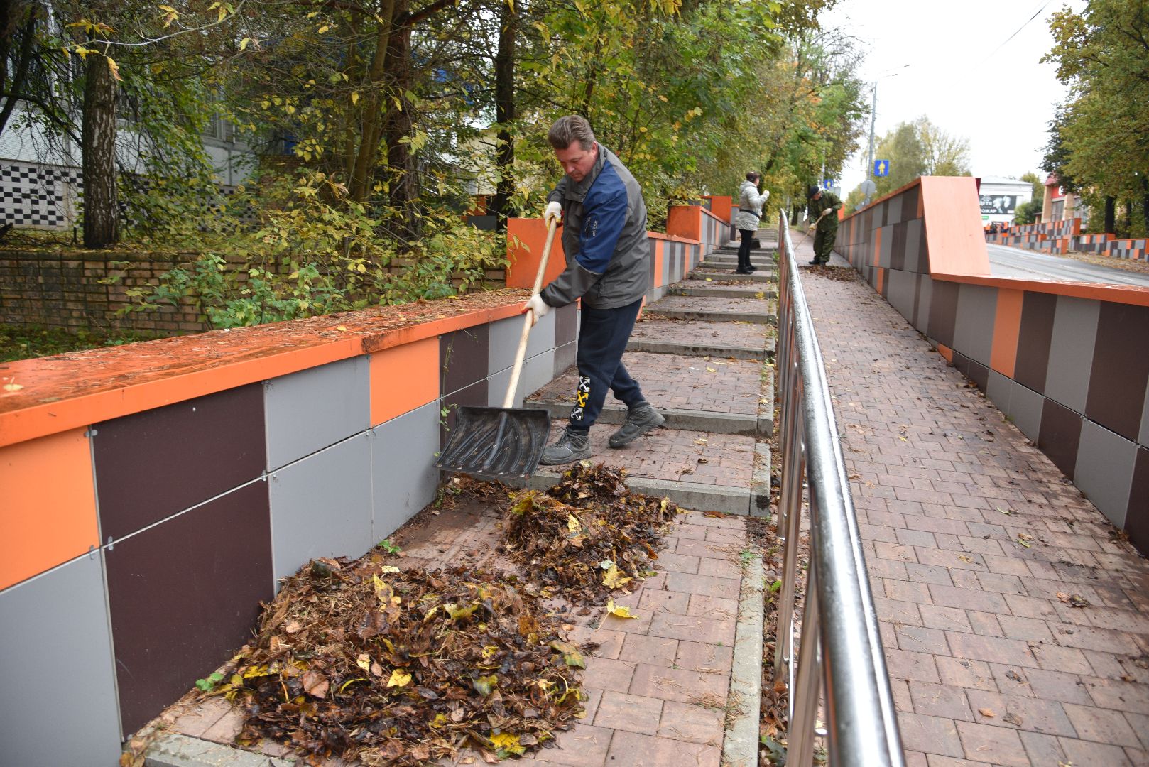 лотошино, добродел, благоустройство, обращения жителей, цур,