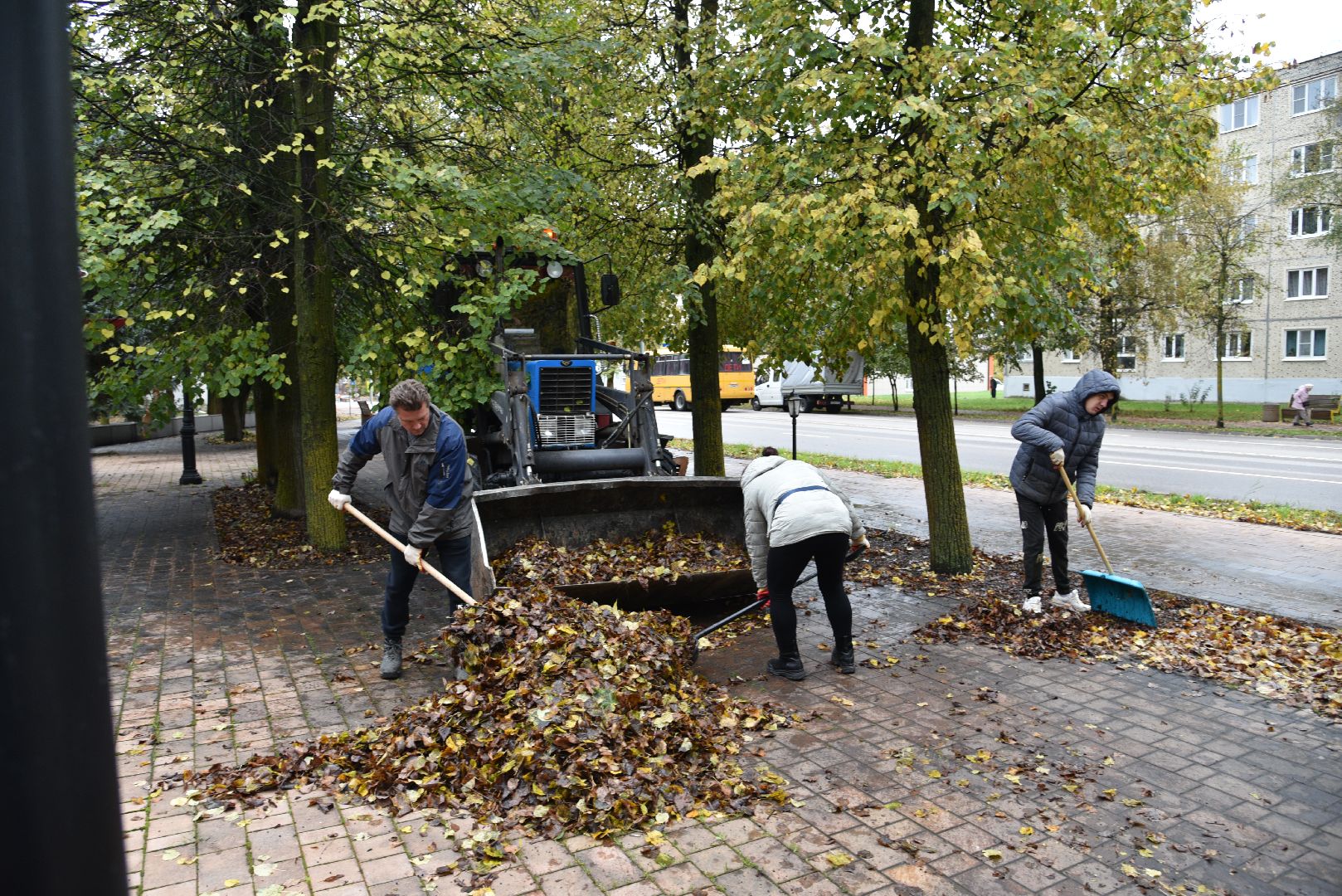 лотошино, добродел, благоустройство, обращения жителей, цур,